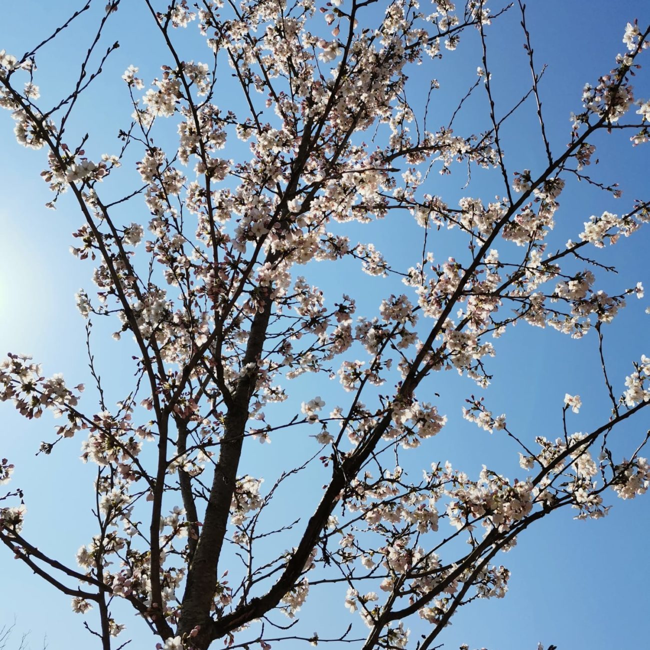 WhatsApp Image 2022-03-24 at 16.59.38 (5)