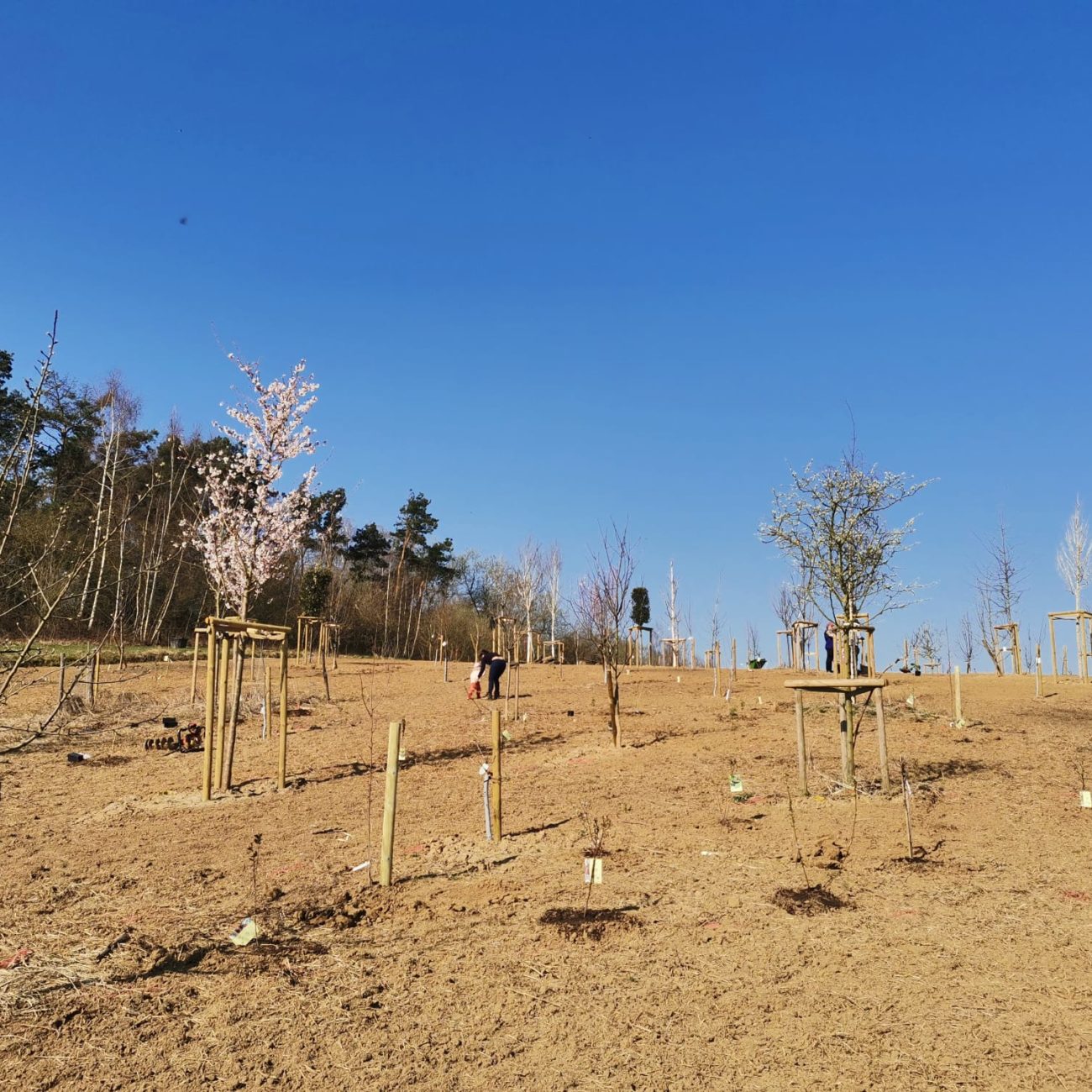 WhatsApp Image 2022-03-24 at 16.59.38 (8)