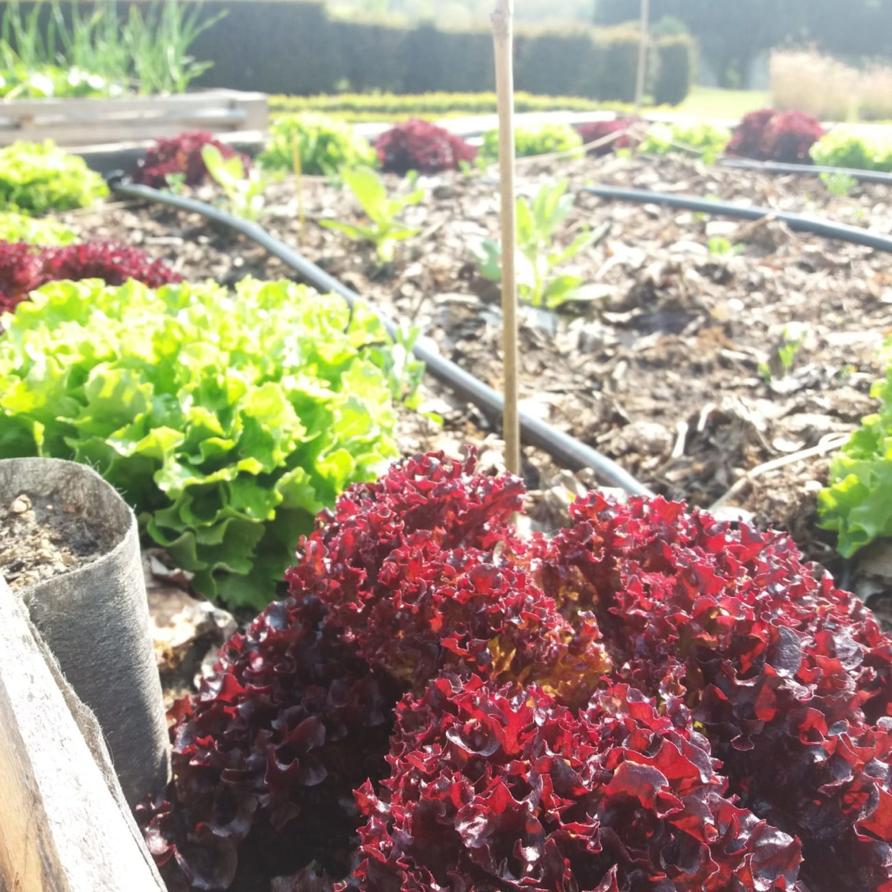 WhatsApp Image 2022-05-05 at 09.02.21 (1)