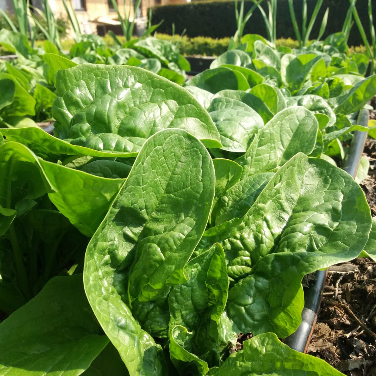 WhatsApp Image 2022-05-05 at 09.02.22 (1)