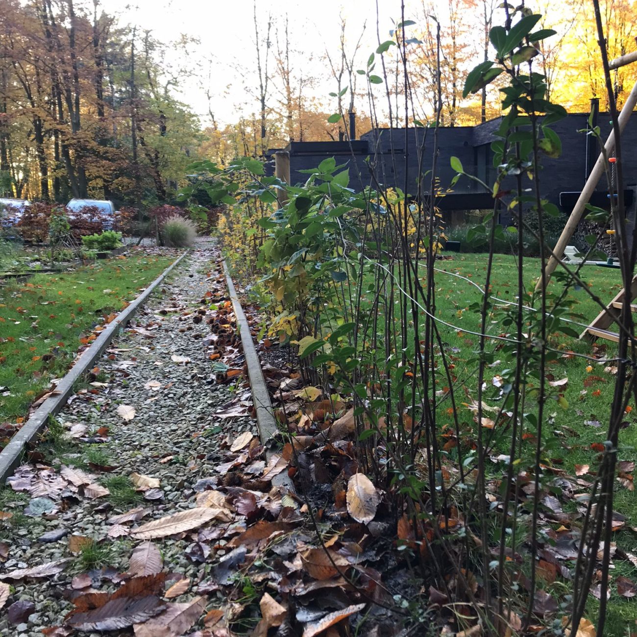 WhatsApp Image 2022-11-29 at 11.27.29 (1)