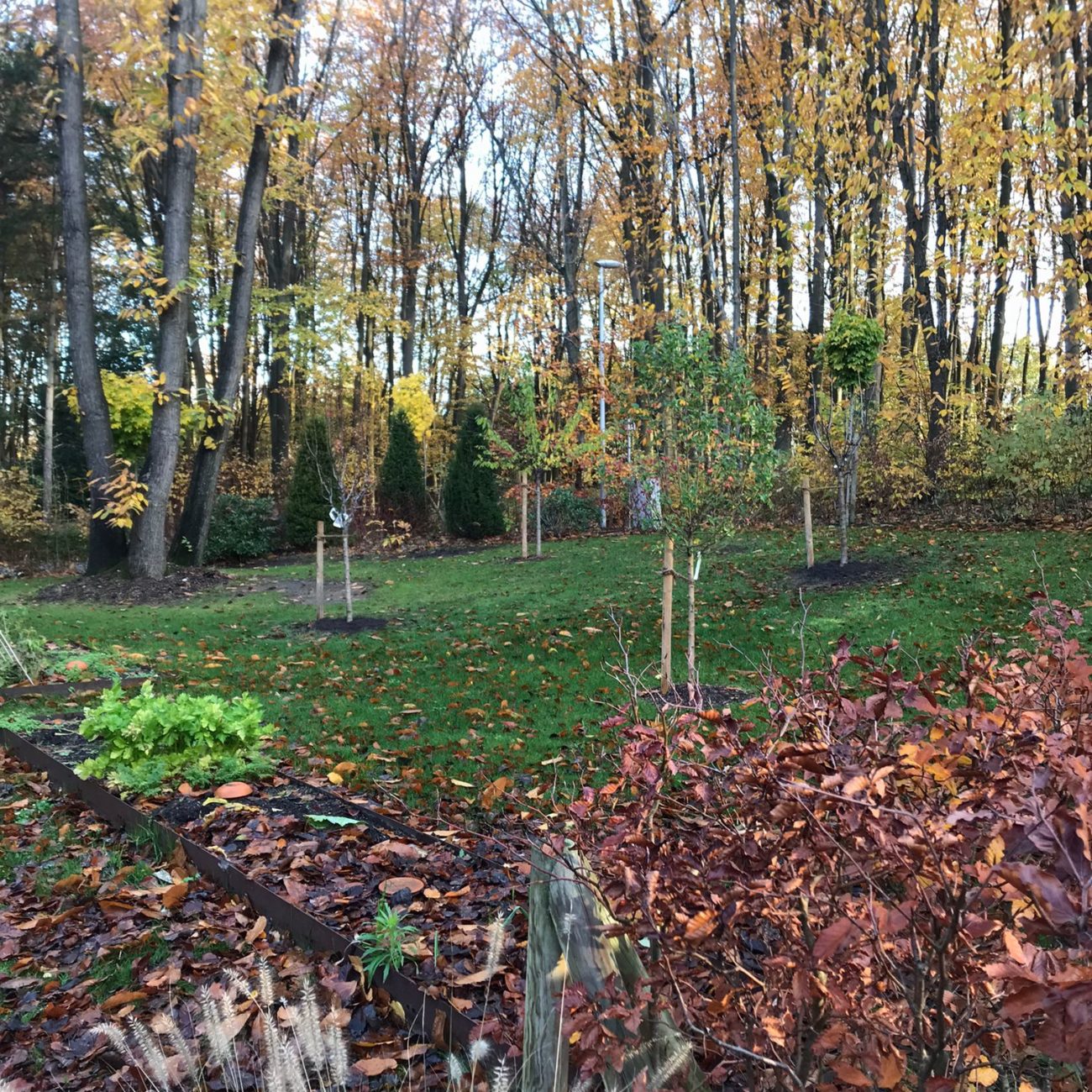 WhatsApp Image 2022-11-29 at 11.27.29