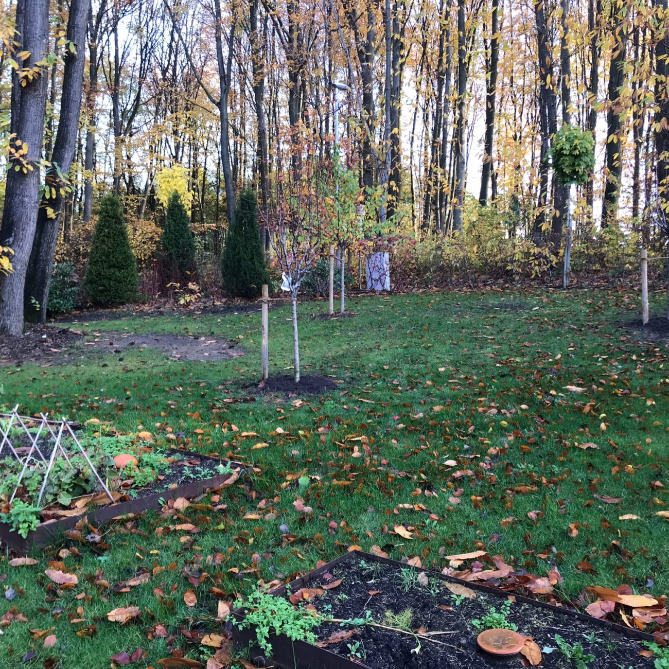 WhatsApp Image 2022-11-29 at 11.27.29 (2)