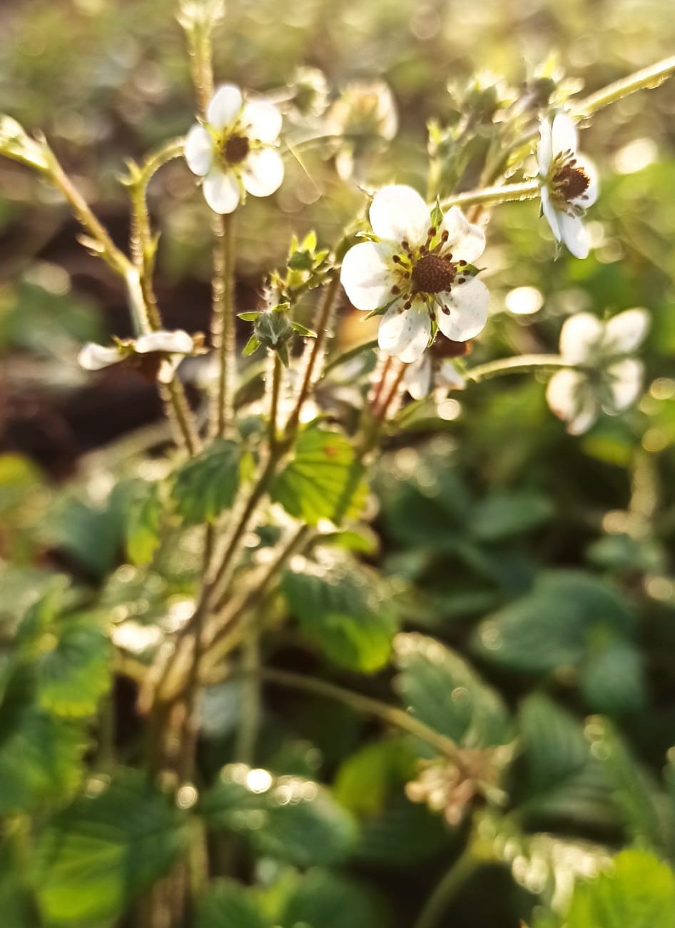 WhatsApp Image 2023-02-01 at 11.22.15