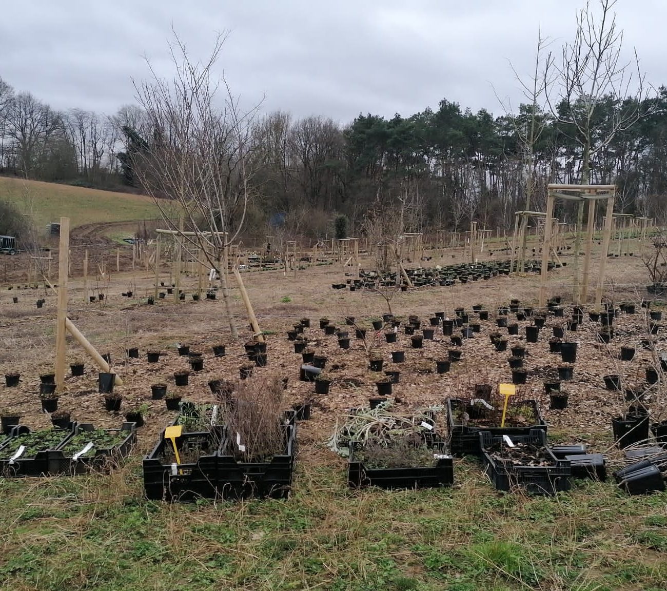 WhatsApp Image 2023-02-07 at 15.28.24