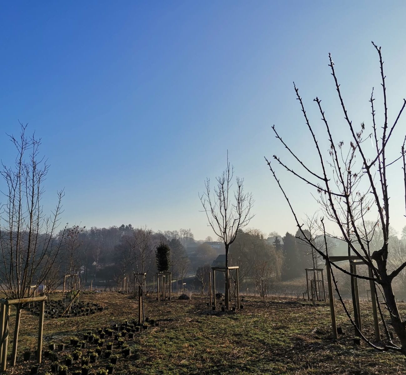 WhatsApp Image 2023-02-15 at 09.23.25 (3)