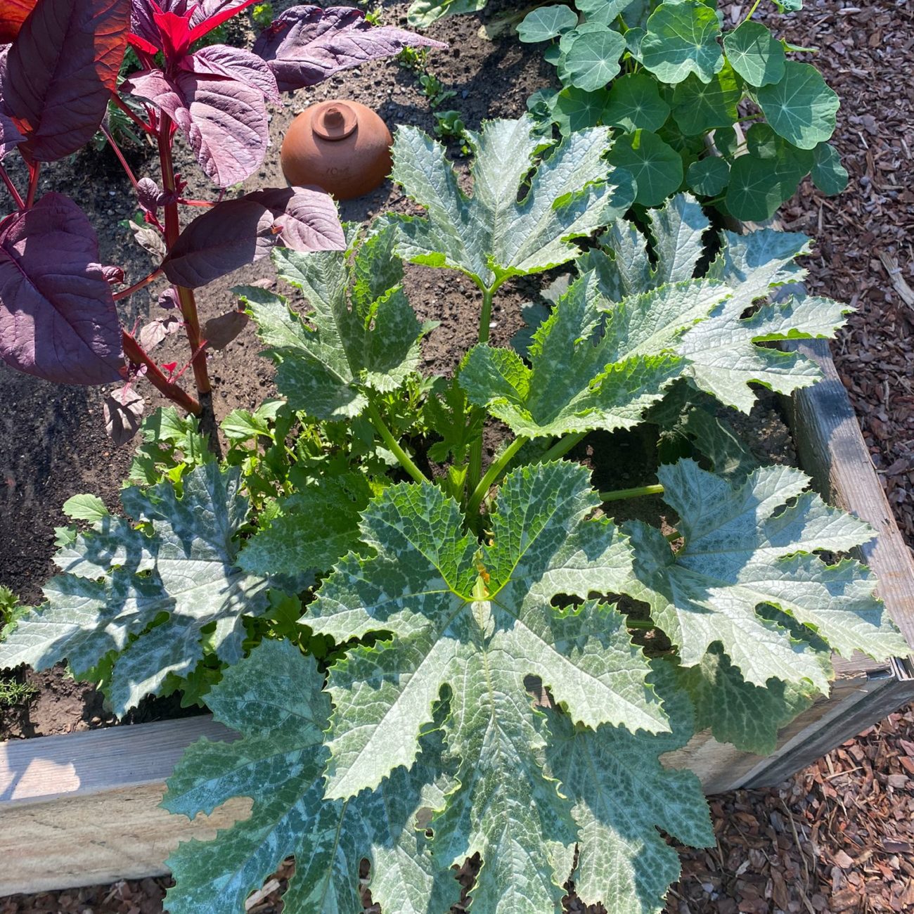 WhatsApp Image 2023-06-12 at 12.27.10 (1)