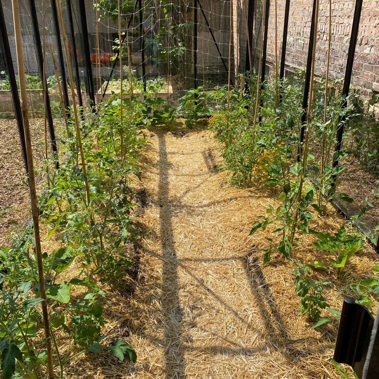 WhatsApp Image 2023-06-12 at 12.27.10 (3)