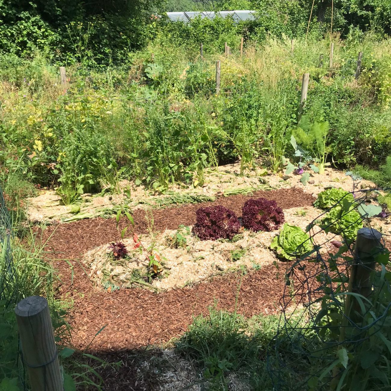 WhatsApp Image 2023-06-13 at 16.18.56 (1)