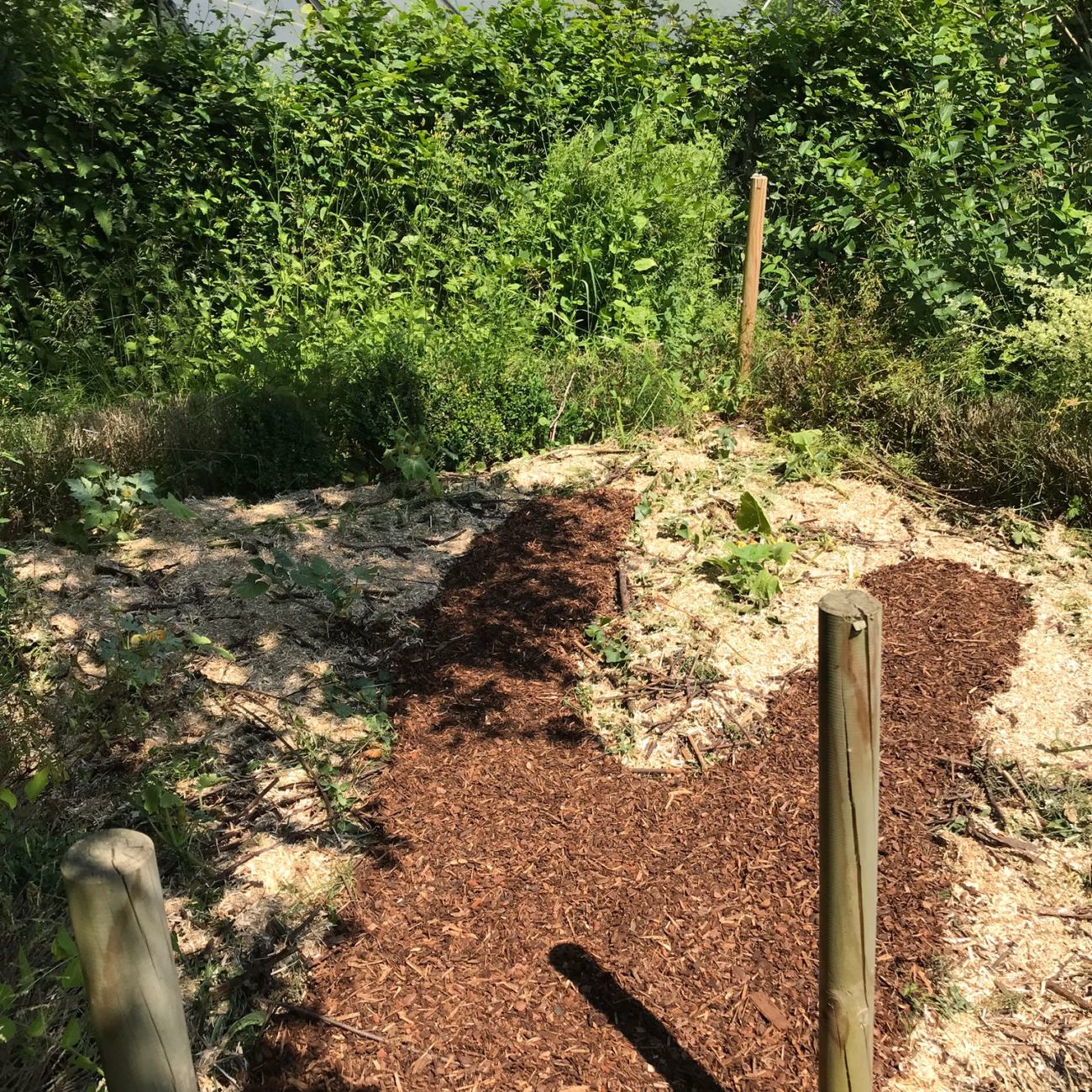 WhatsApp Image 2023-06-13 at 16.18.56 (2)