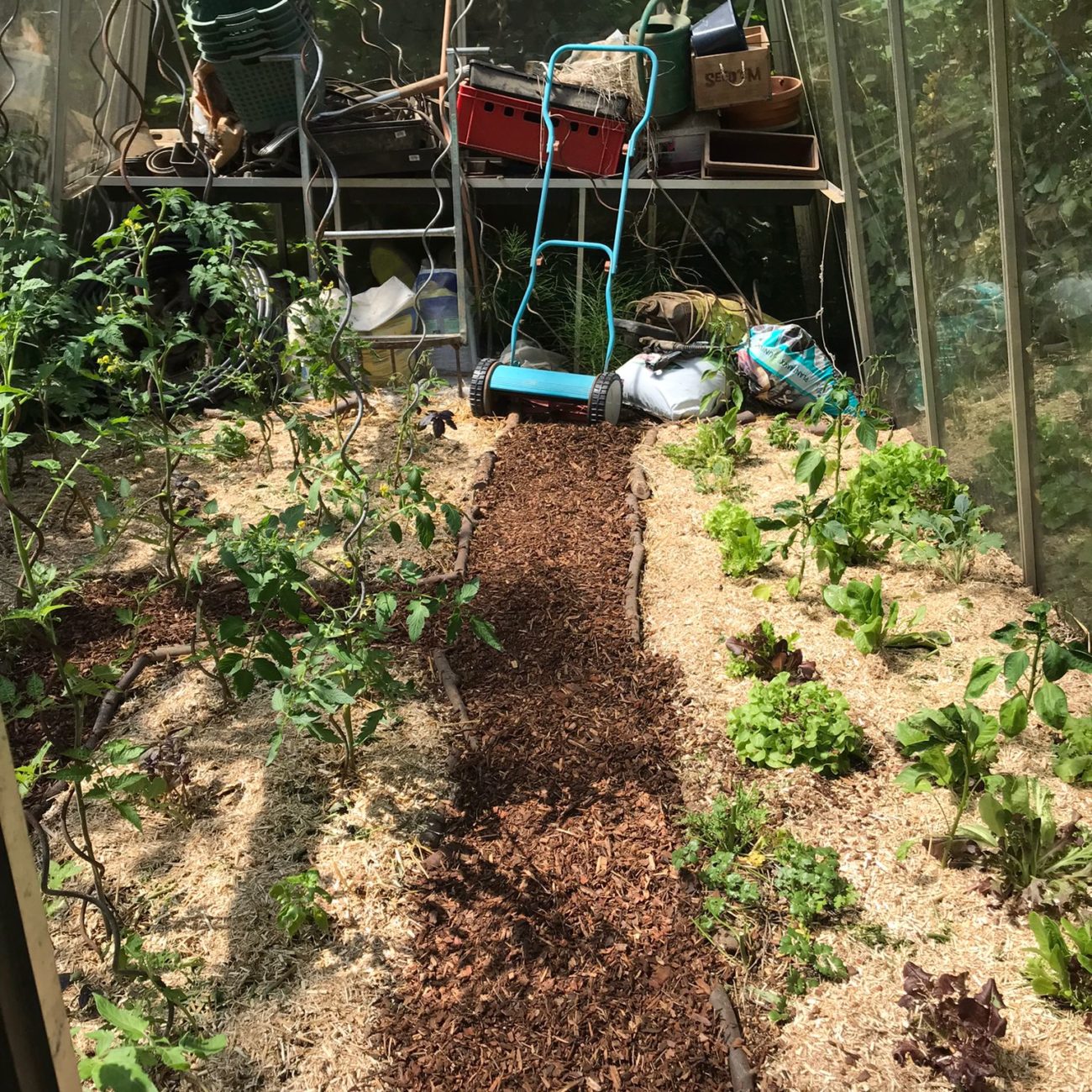 WhatsApp Image 2023-06-13 at 16.18.56 (3)