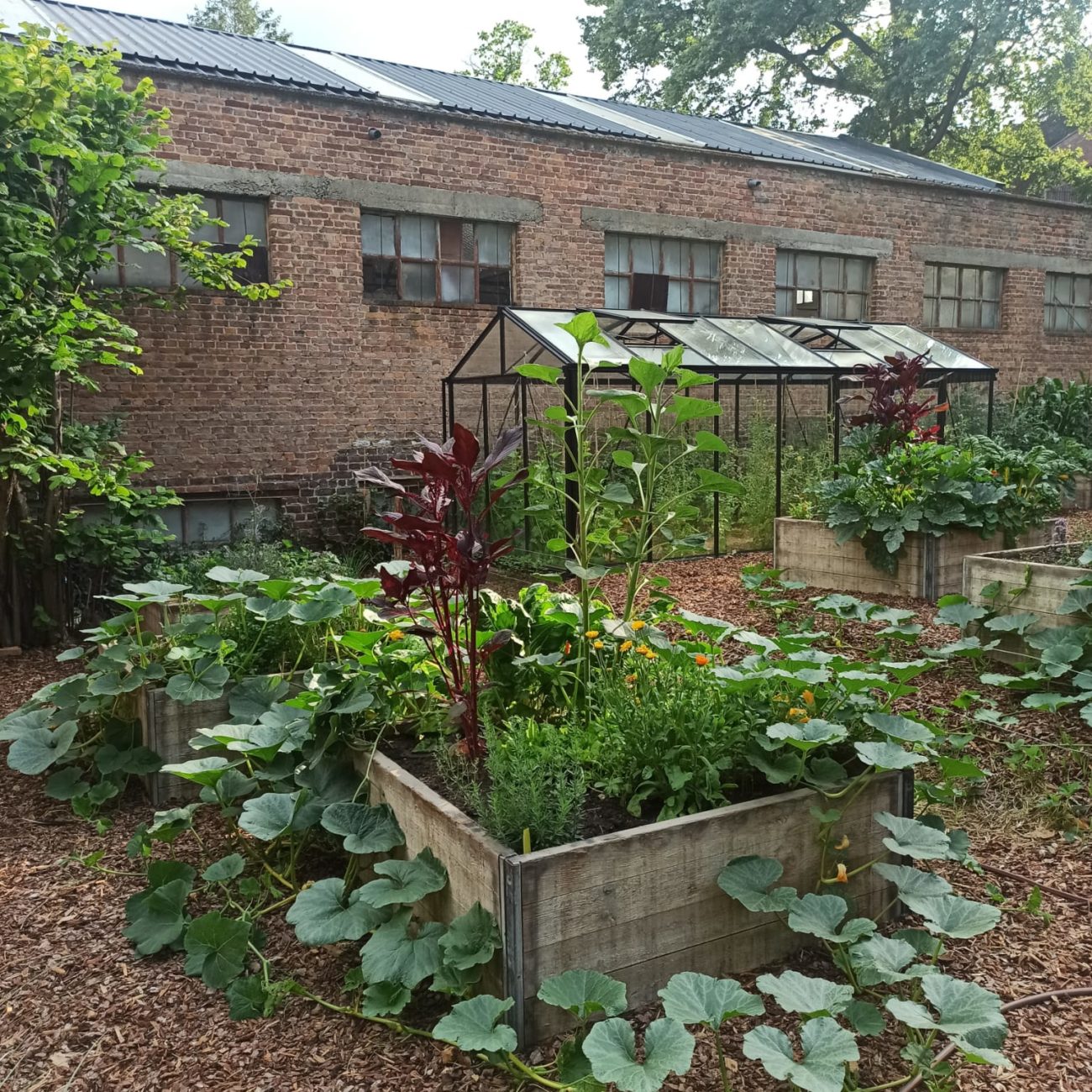 WhatsApp Image 2023-07-04 at 12.20.24