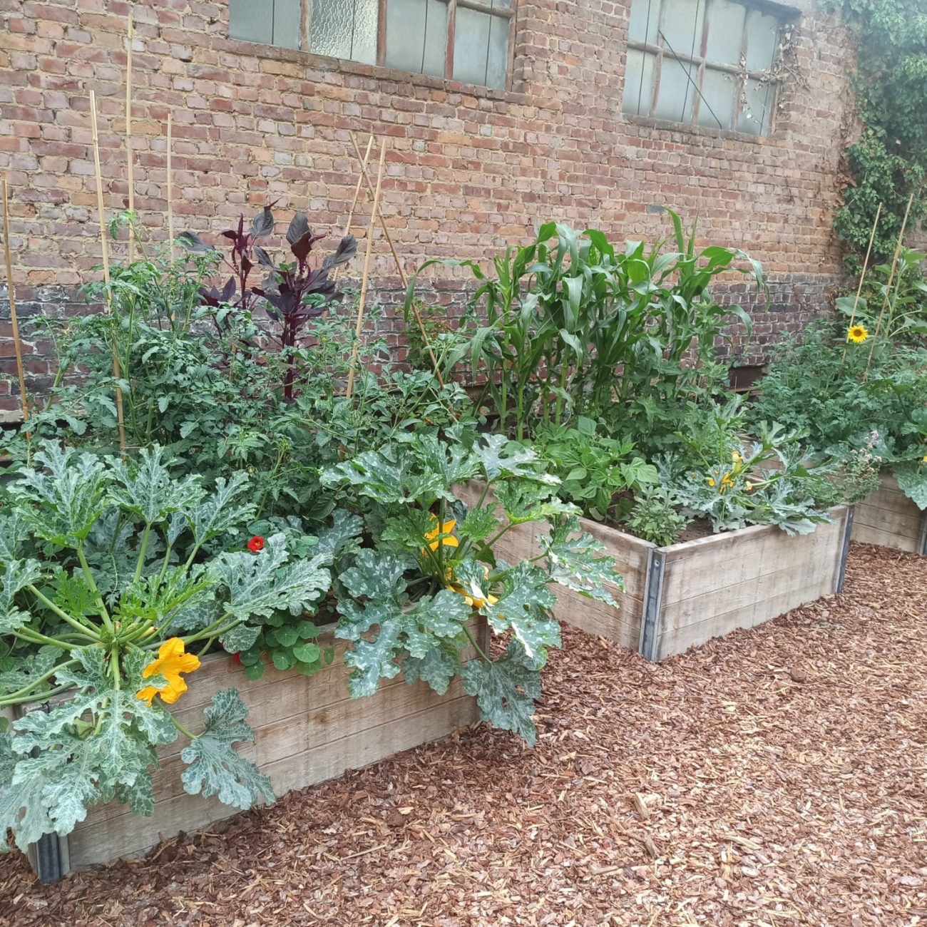 WhatsApp Image 2023-07-04 at 12.20.36 (1)