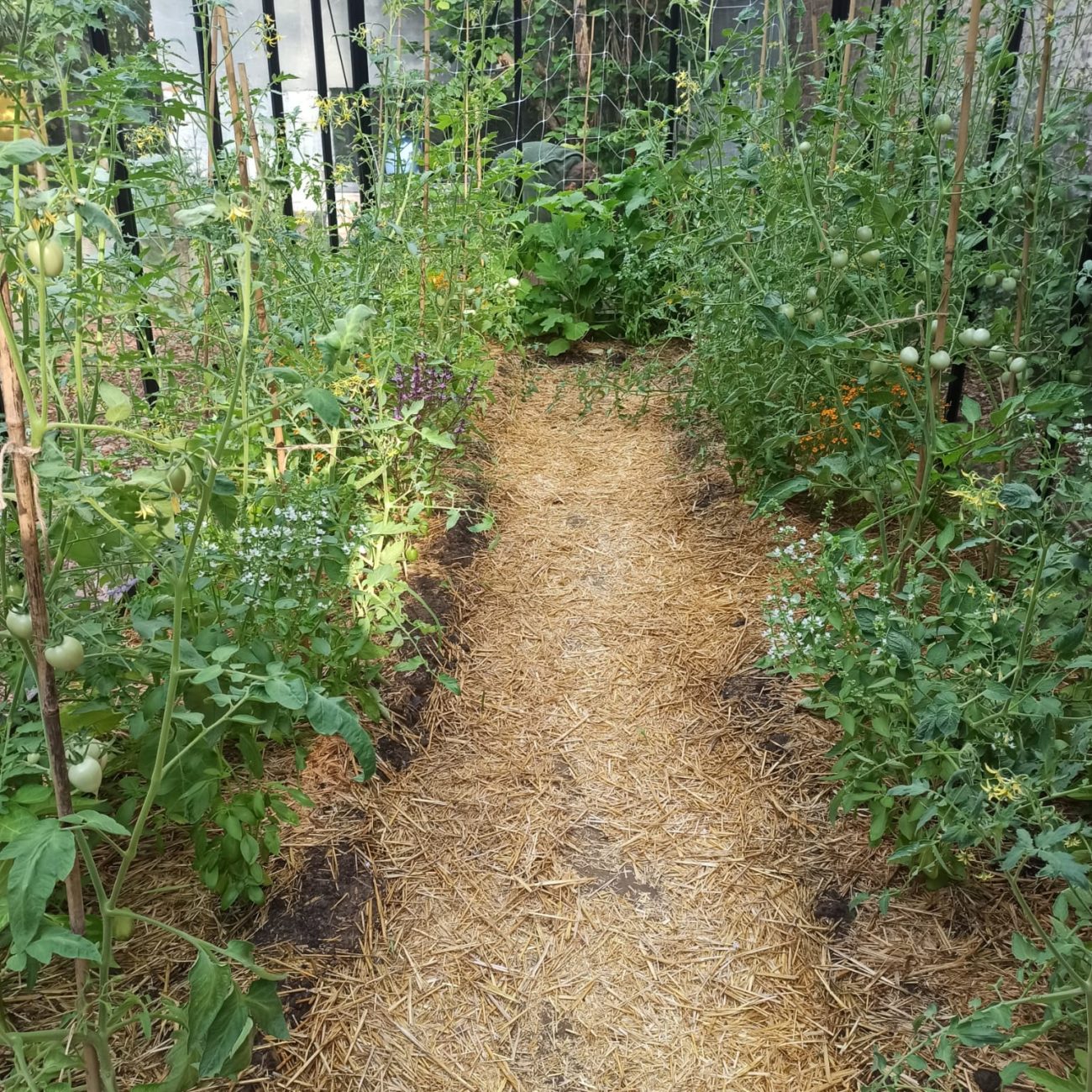 WhatsApp Image 2023-07-04 at 12.20.36 (2)