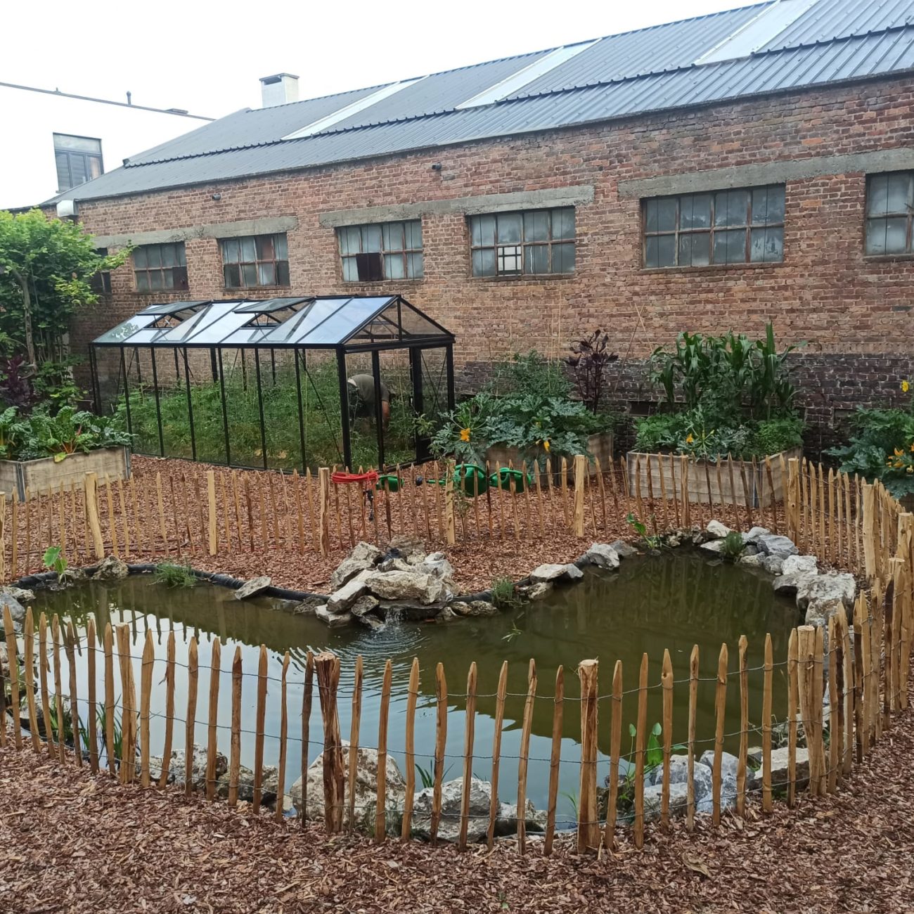 WhatsApp Image 2023-07-04 at 12.20.36 (5)