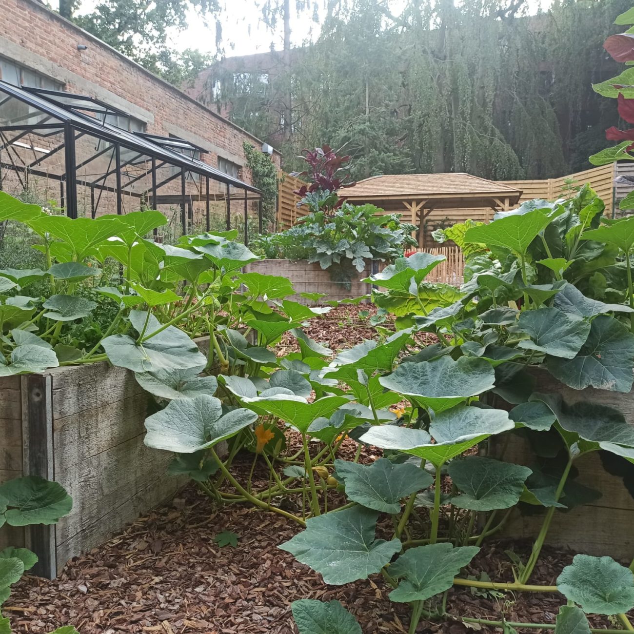 WhatsApp Image 2023-07-04 at 12.21.23 (1)