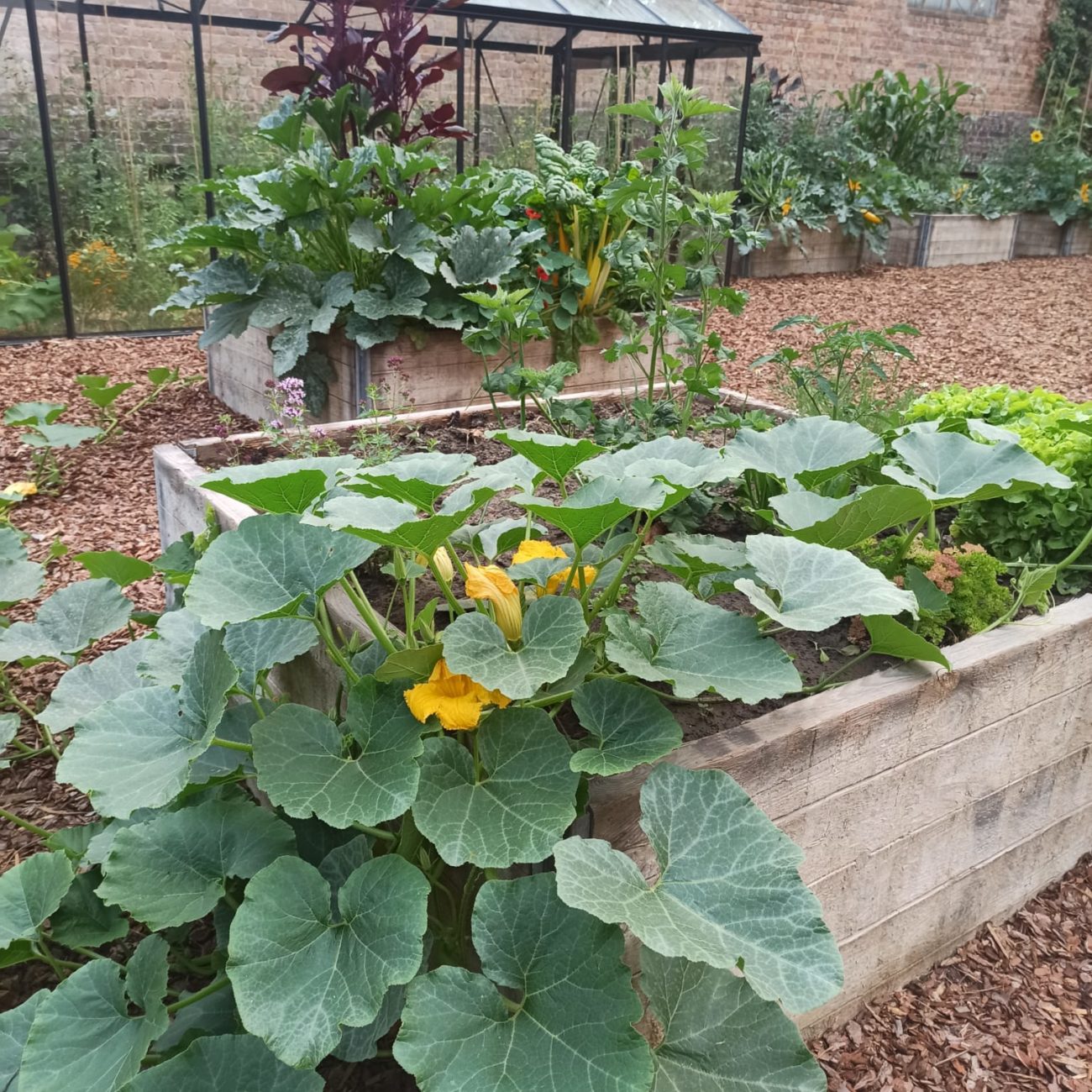 WhatsApp Image 2023-07-04 at 12.21.23