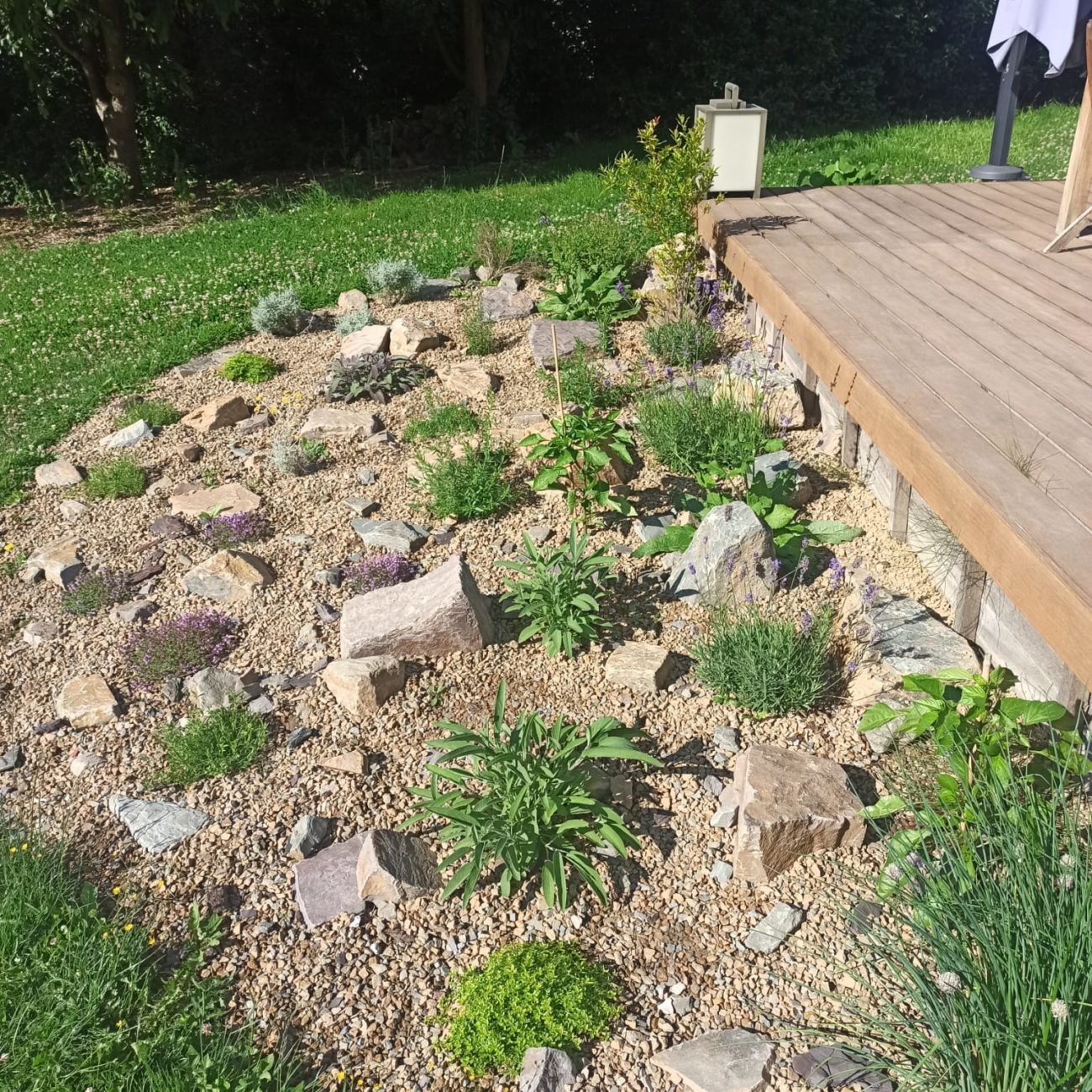 WhatsApp Image 2023-07-10 at 15.34.26