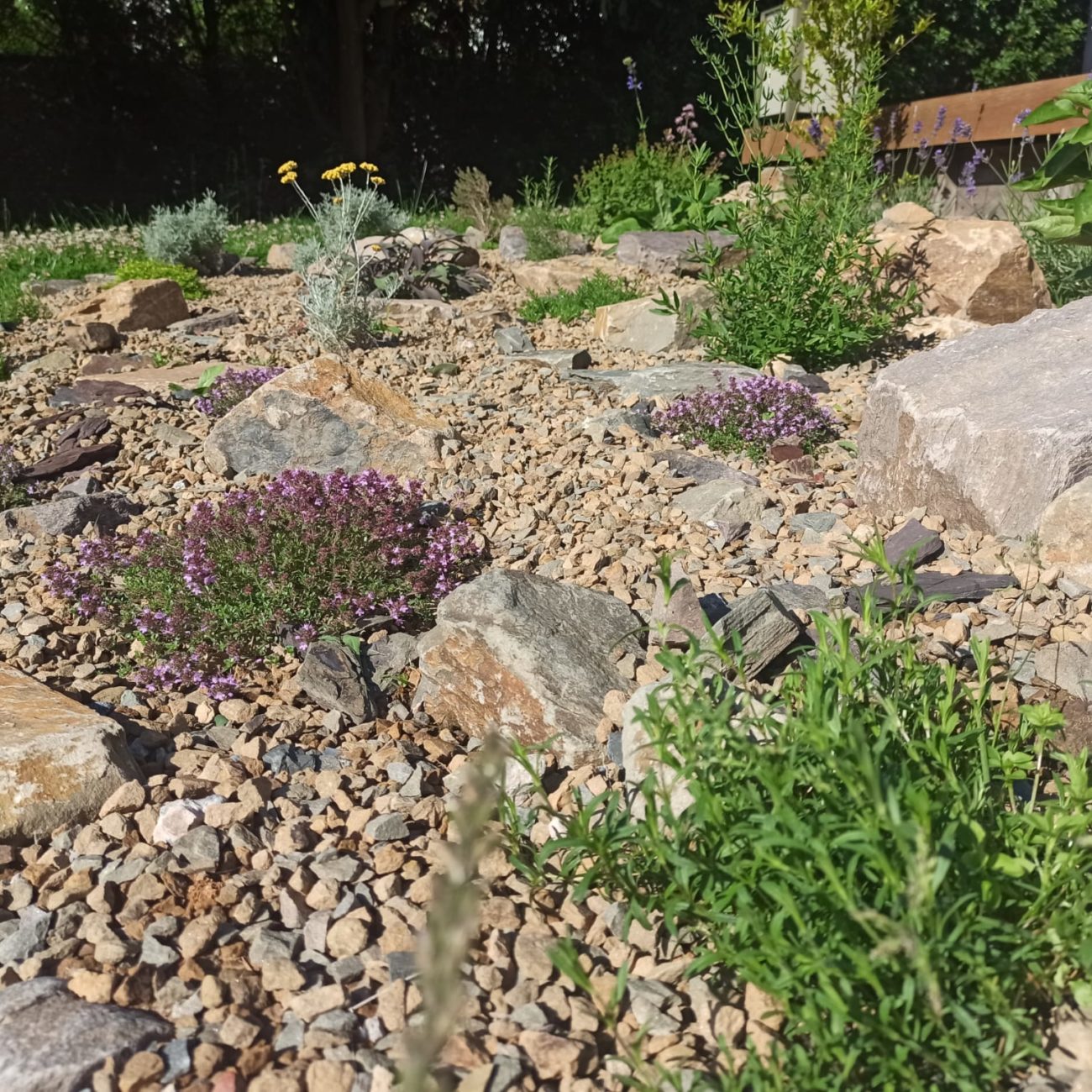 WhatsApp Image 2023-07-10 at 15.34.31