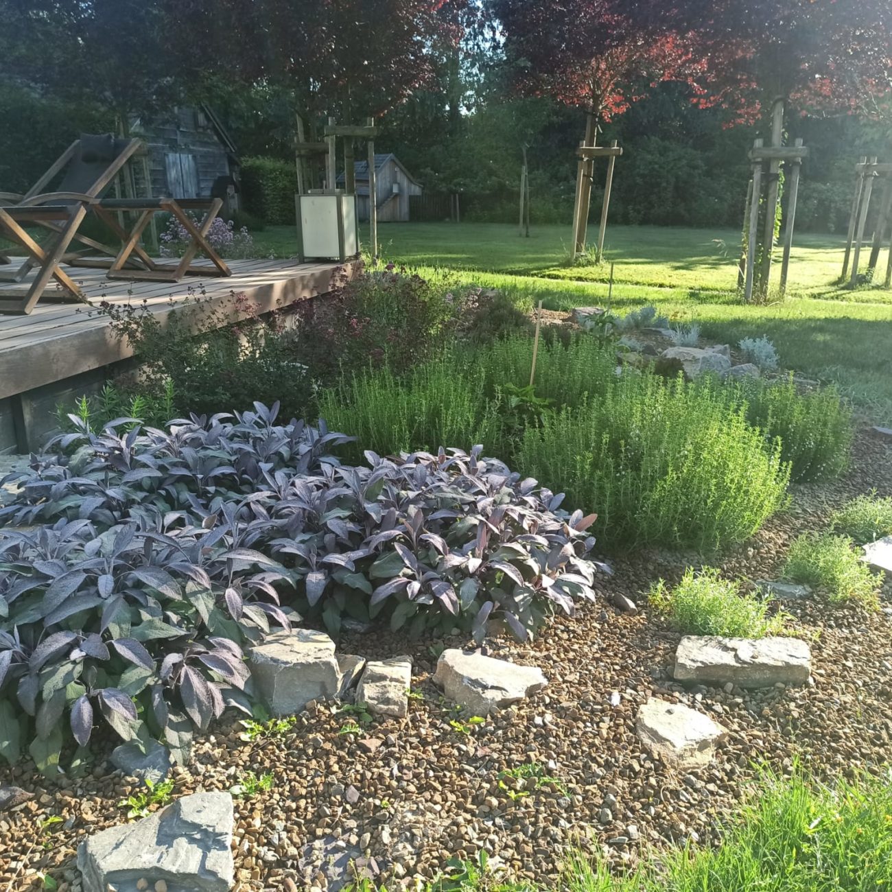 WhatsApp Image 2023-07-10 at 15.34.35