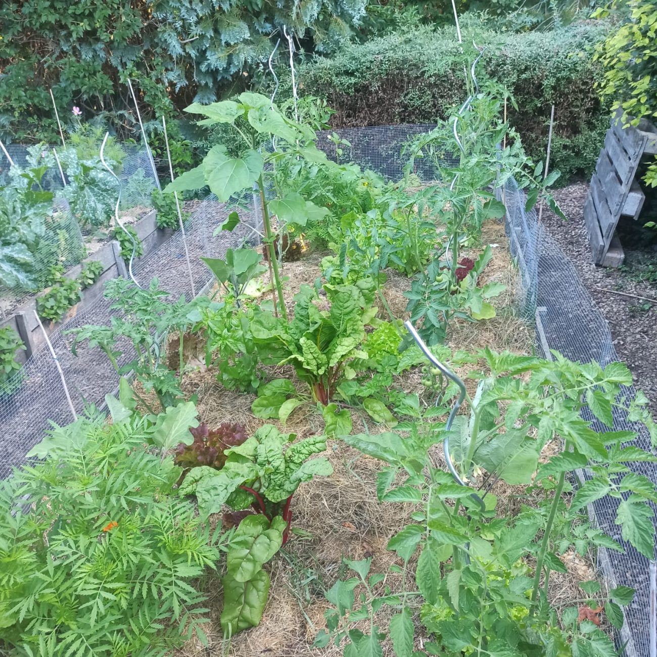 WhatsApp Image 2023-07-10 at 15.34.37