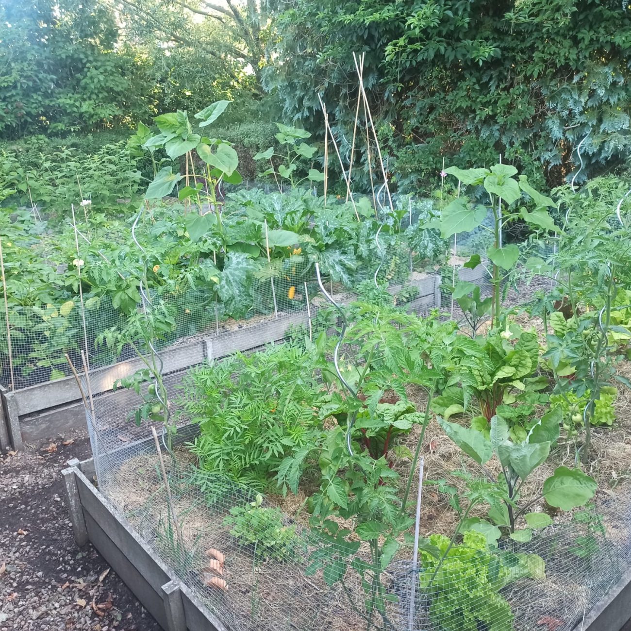 WhatsApp Image 2023-07-10 at 15.34.39