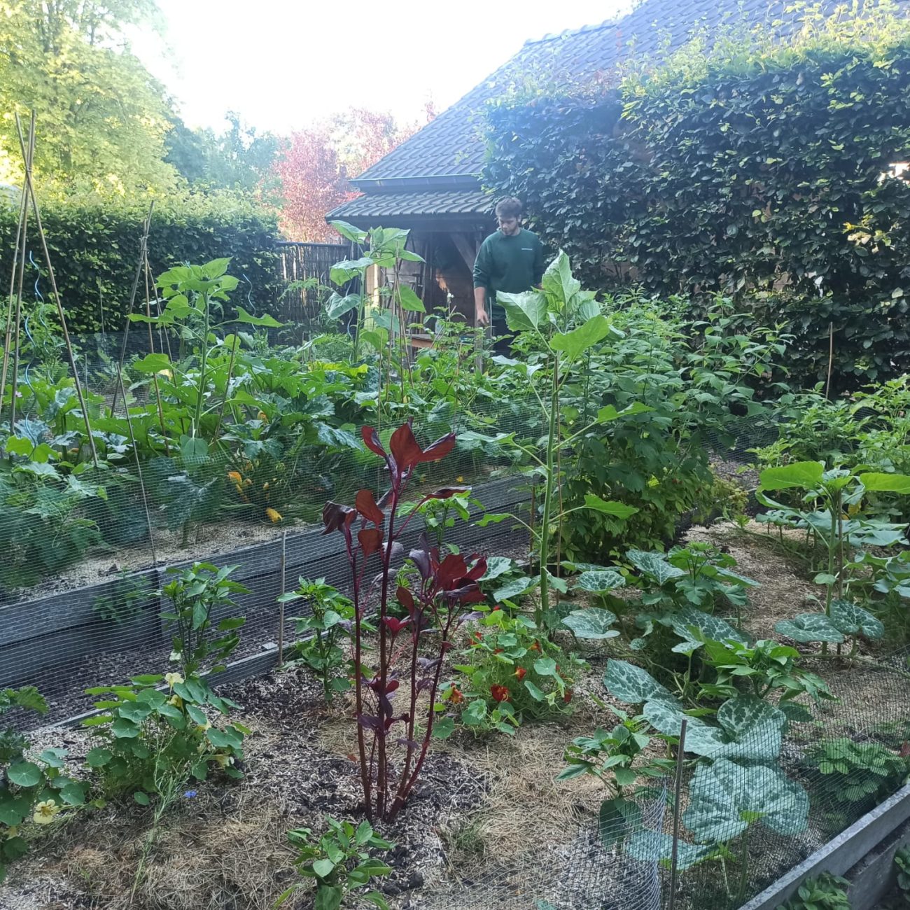 WhatsApp Image 2023-07-10 at 15.34.41