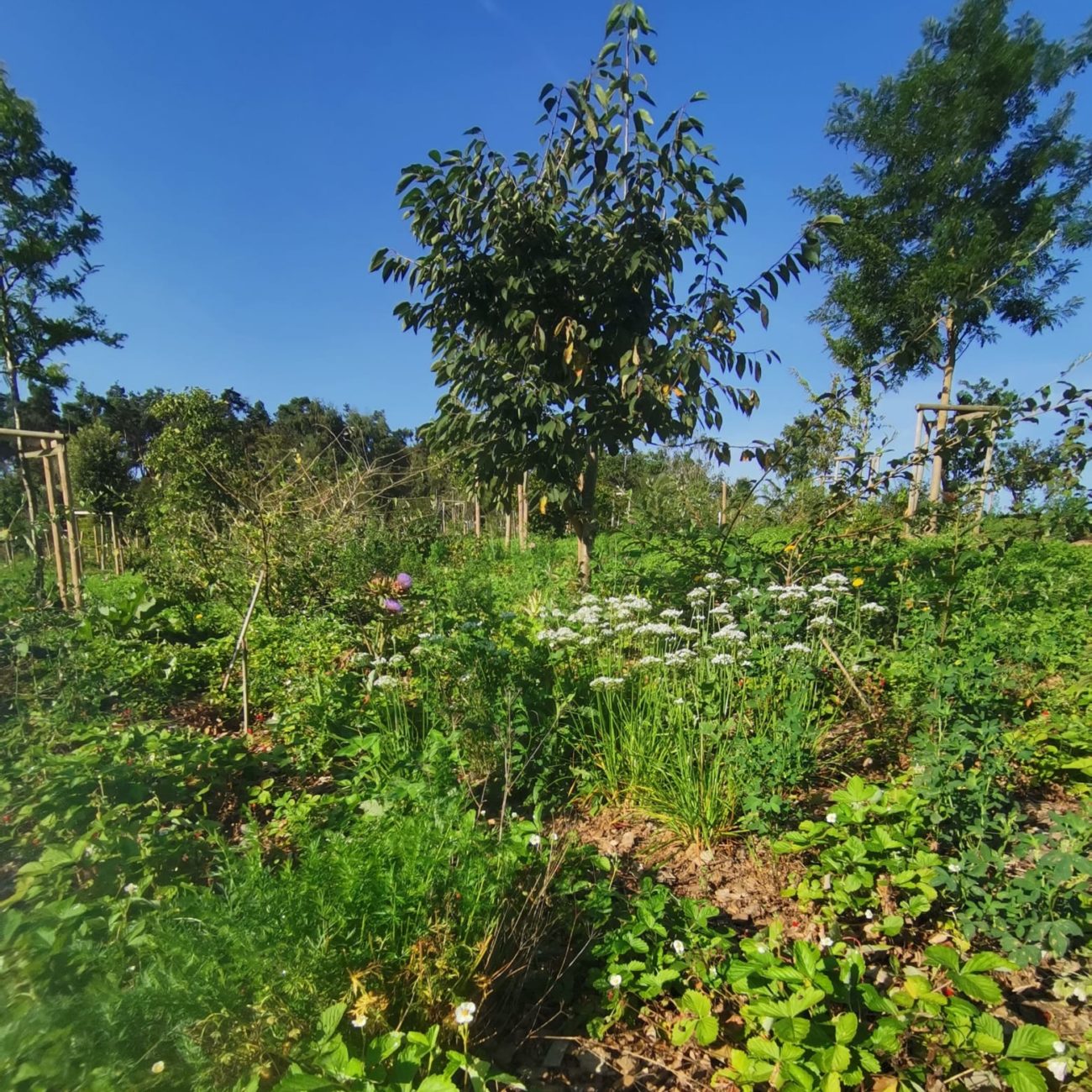 WhatsApp Image 2023-09-11 at 14.39.02