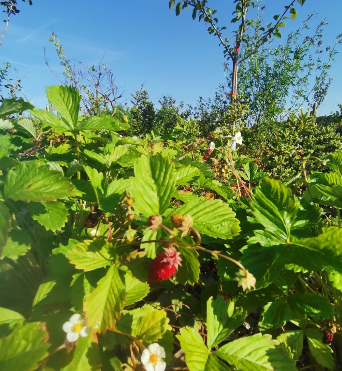 WhatsApp Image 2023-09-11 at 14.39.05