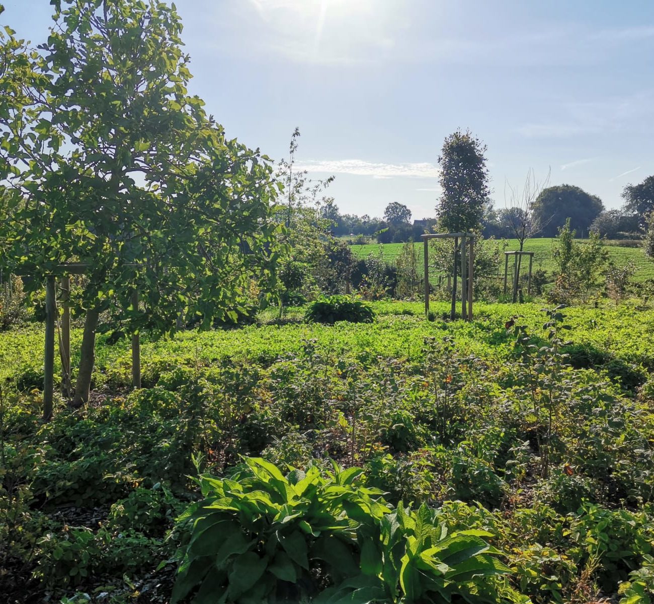 WhatsApp Image 2023-09-11 at 14.39.09