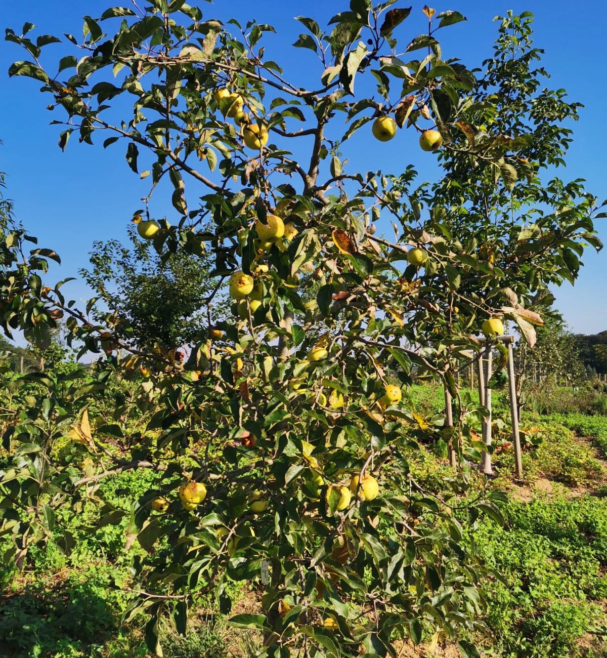 WhatsApp Image 2023-09-11 at 14.39.12