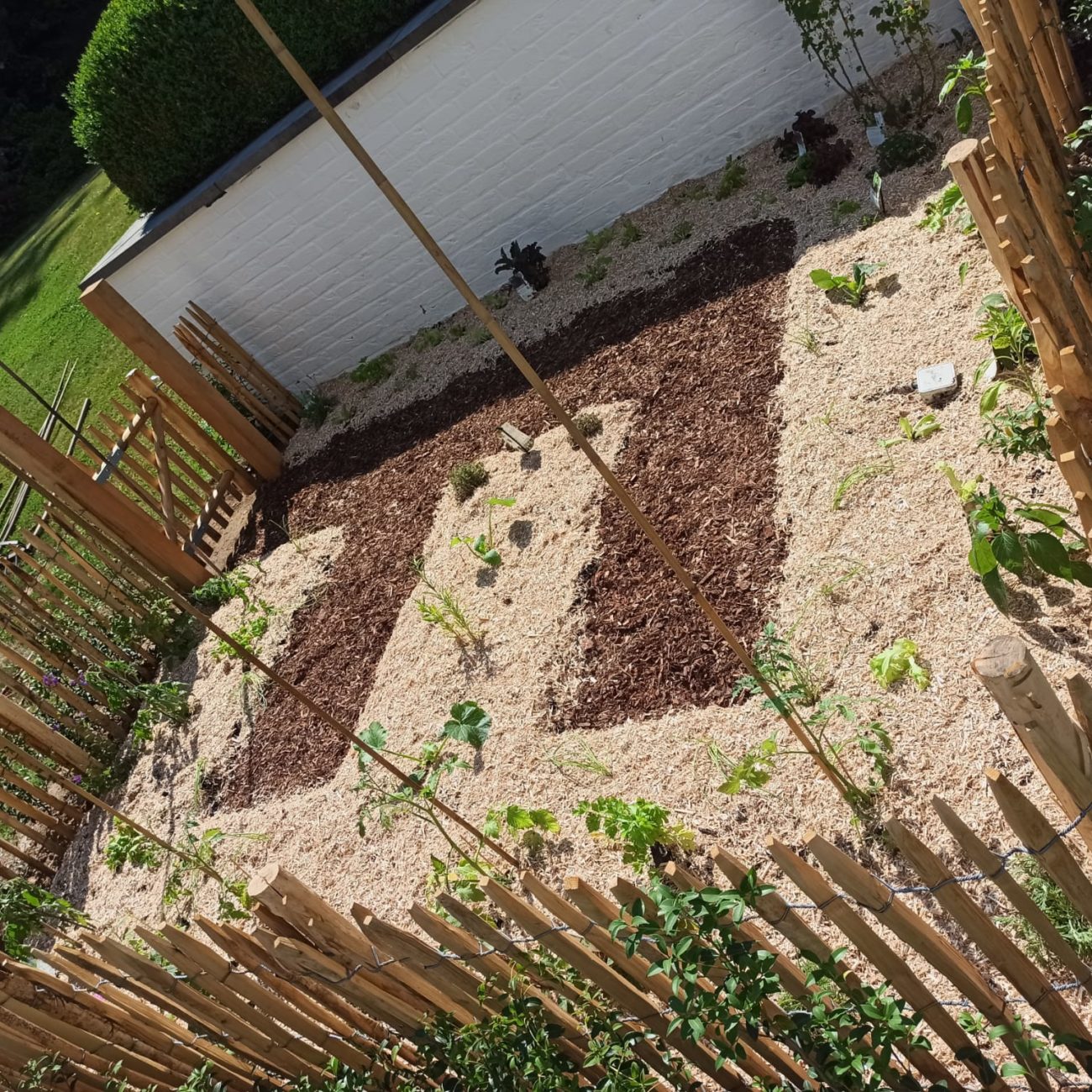 WhatsApp Image 2023-09-11 at 14.59.17