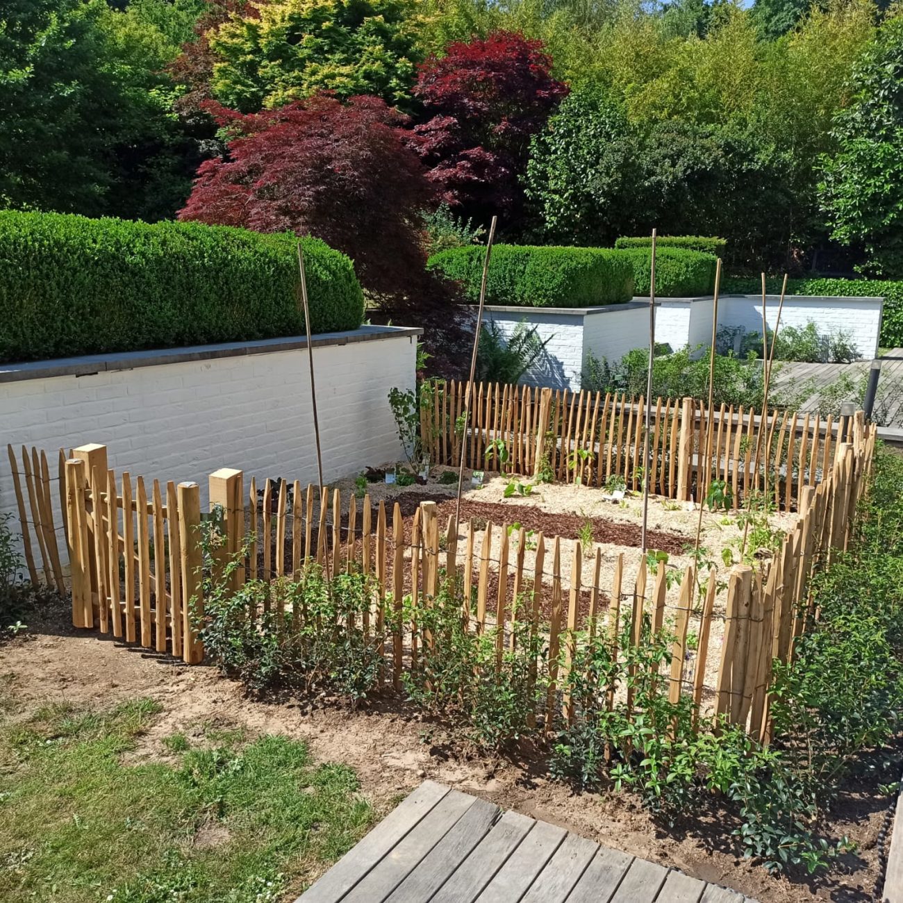 WhatsApp Image 2023-09-11 at 14.59.46