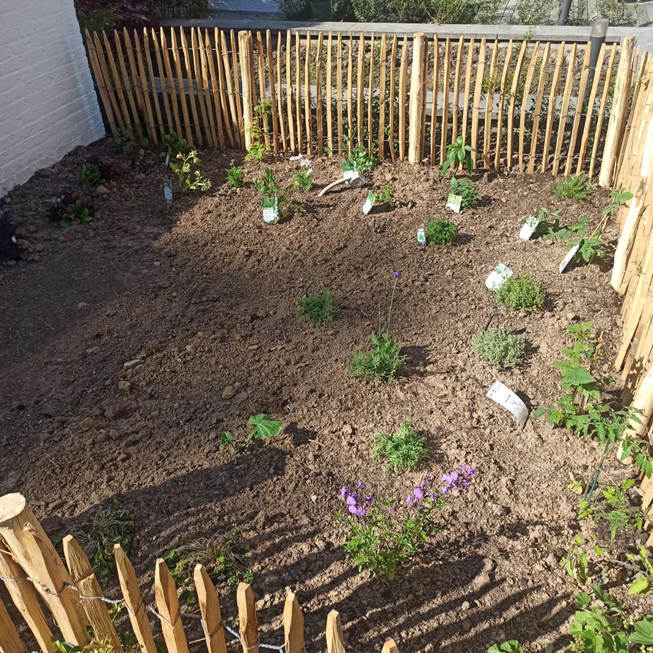 WhatsApp Image 2023-09-11 at 15.04.49