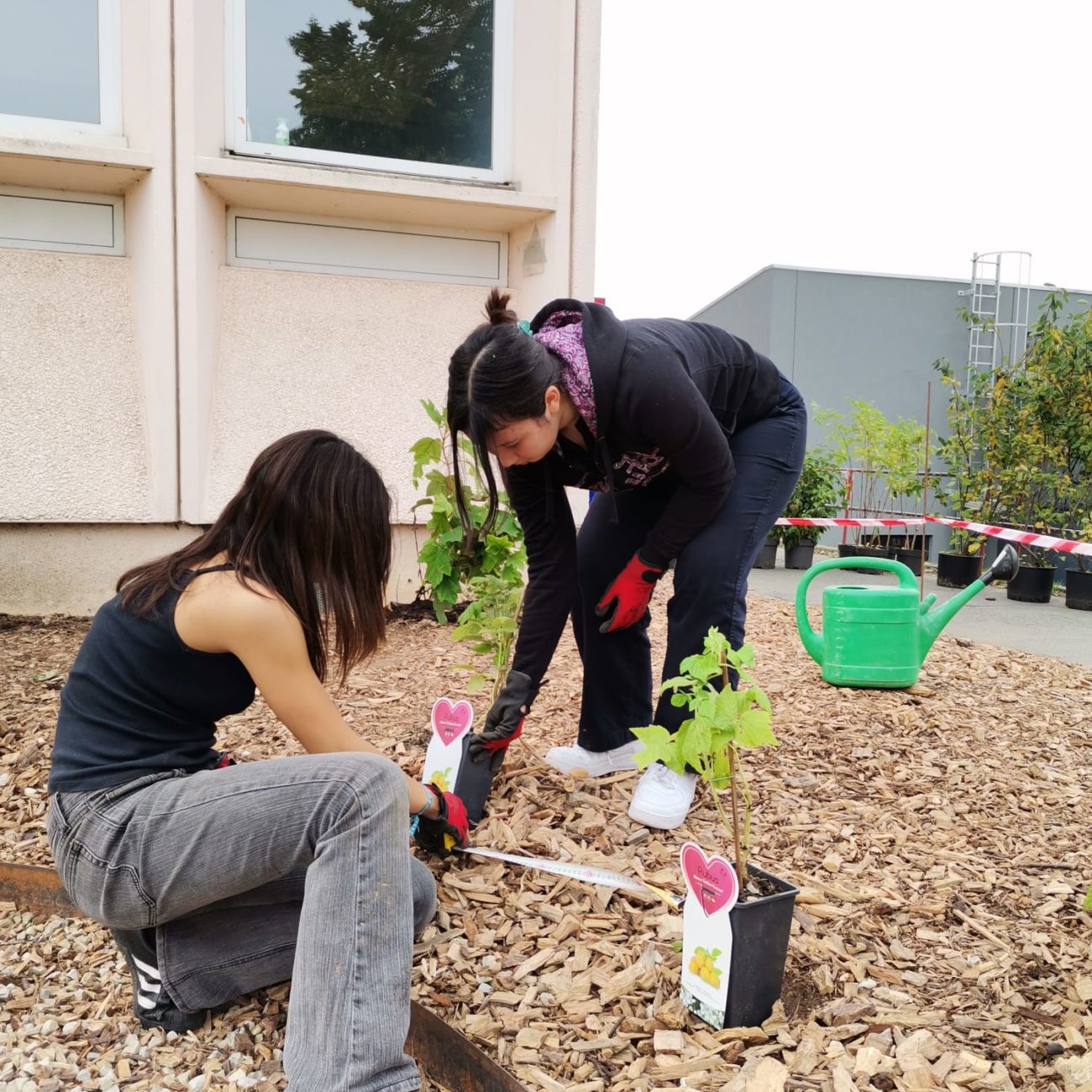 WhatsApp Image 2023-10-10 at 10.20.19