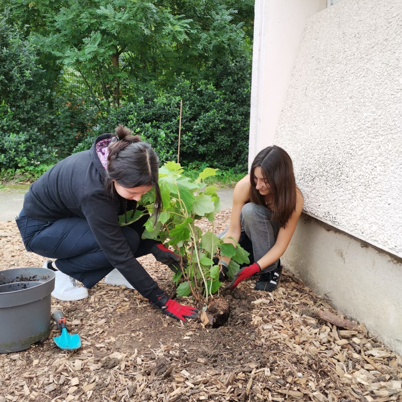 WhatsApp Image 2023-10-10 at 10.20.19 (2)