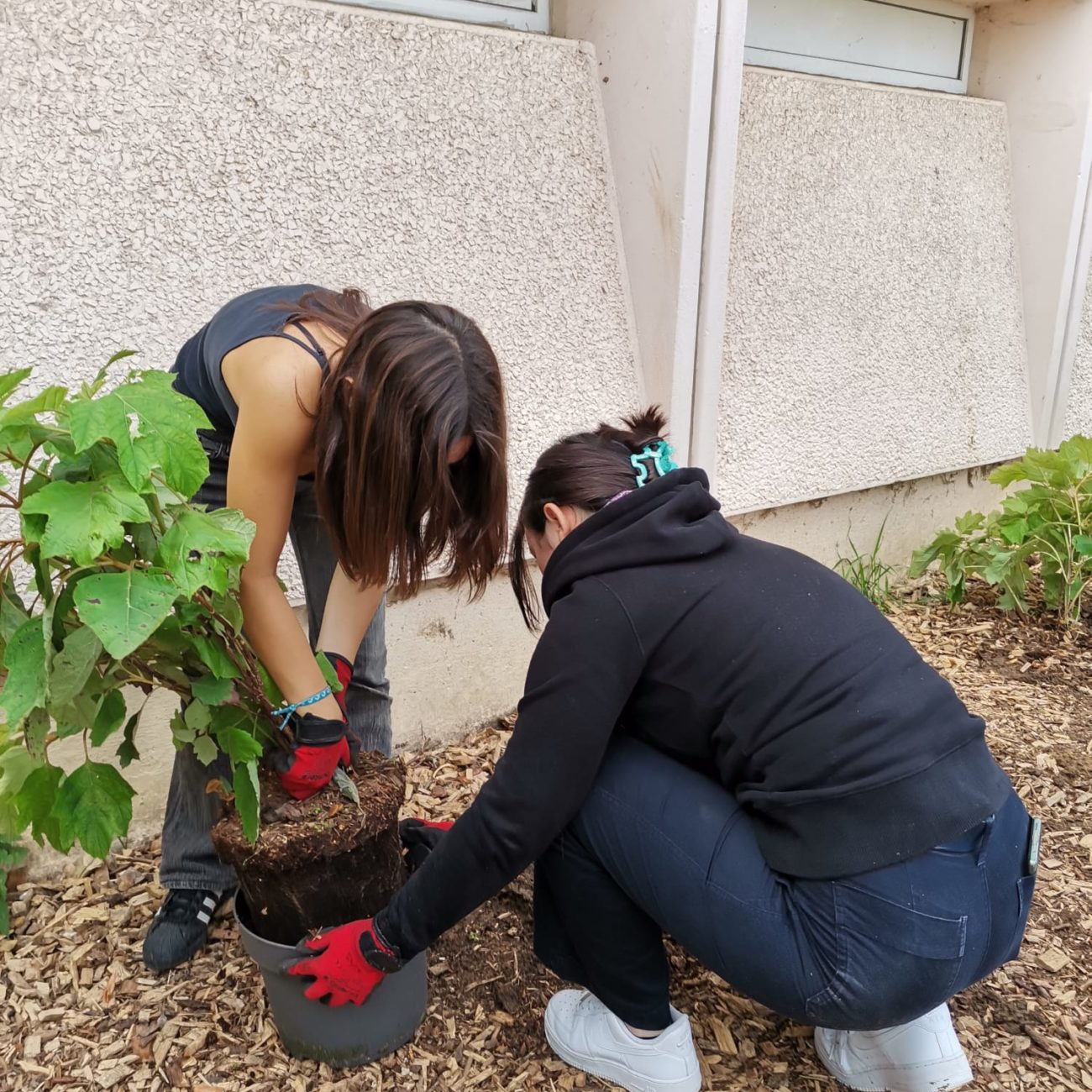 WhatsApp Image 2023-10-10 at 10.20.19 (3)