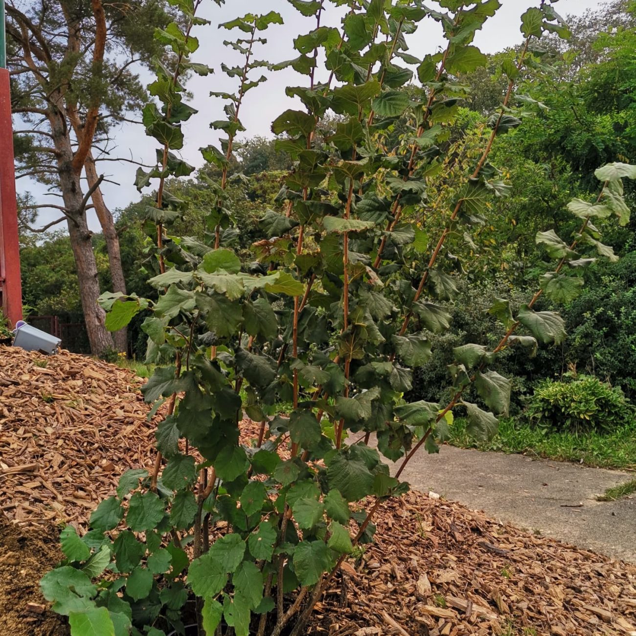 WhatsApp Image 2023-10-10 at 10.20.19 (4)