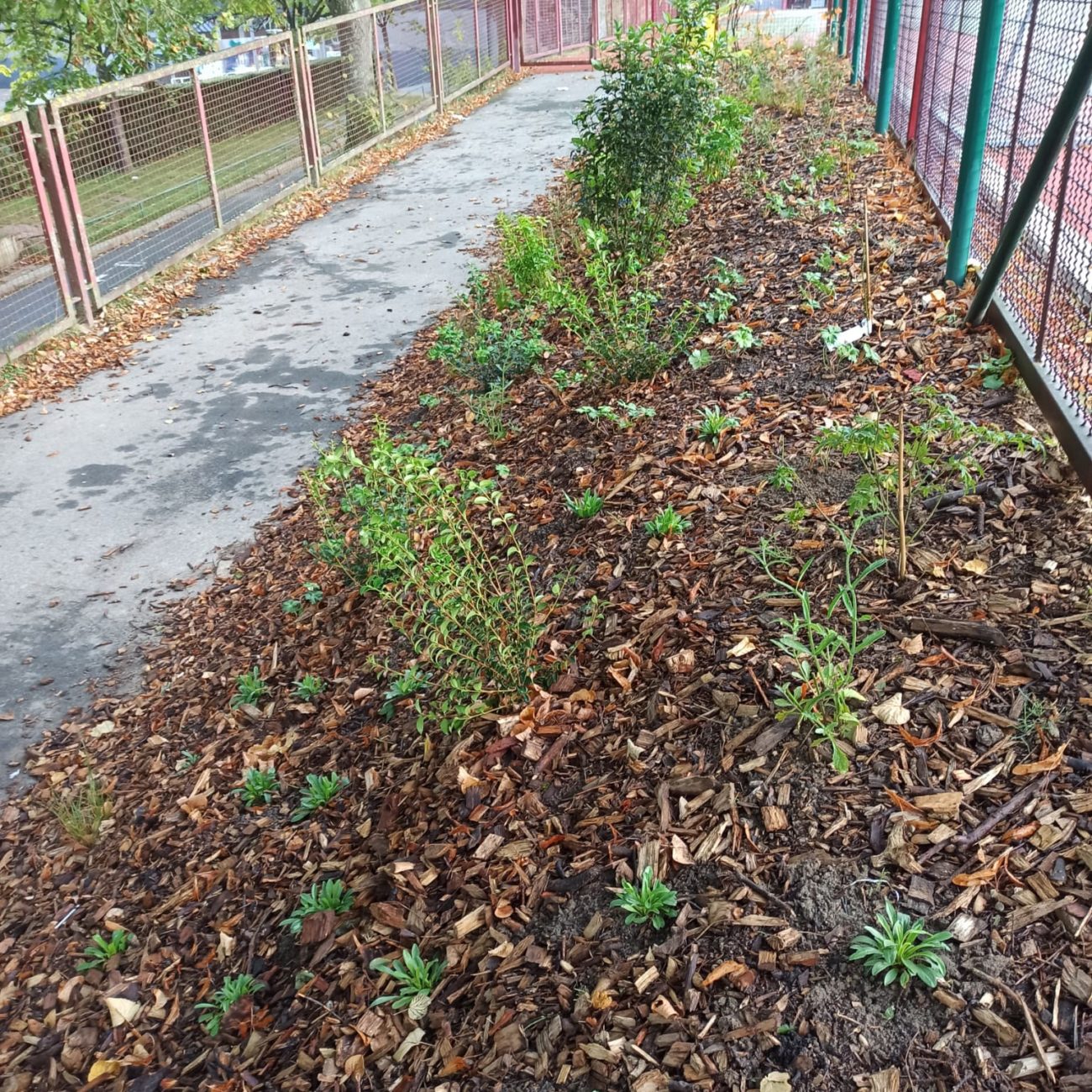 WhatsApp Image 2023-10-23 at 13.31.54 (1)