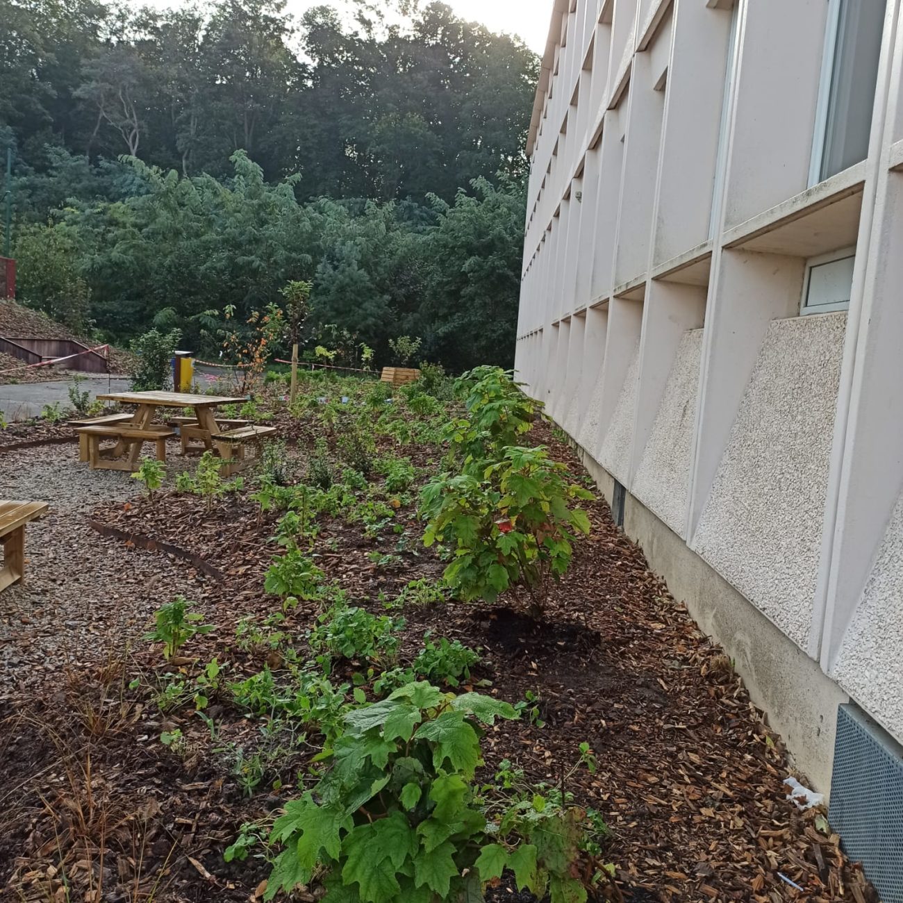 WhatsApp Image 2023-10-23 at 13.31.54 (2)