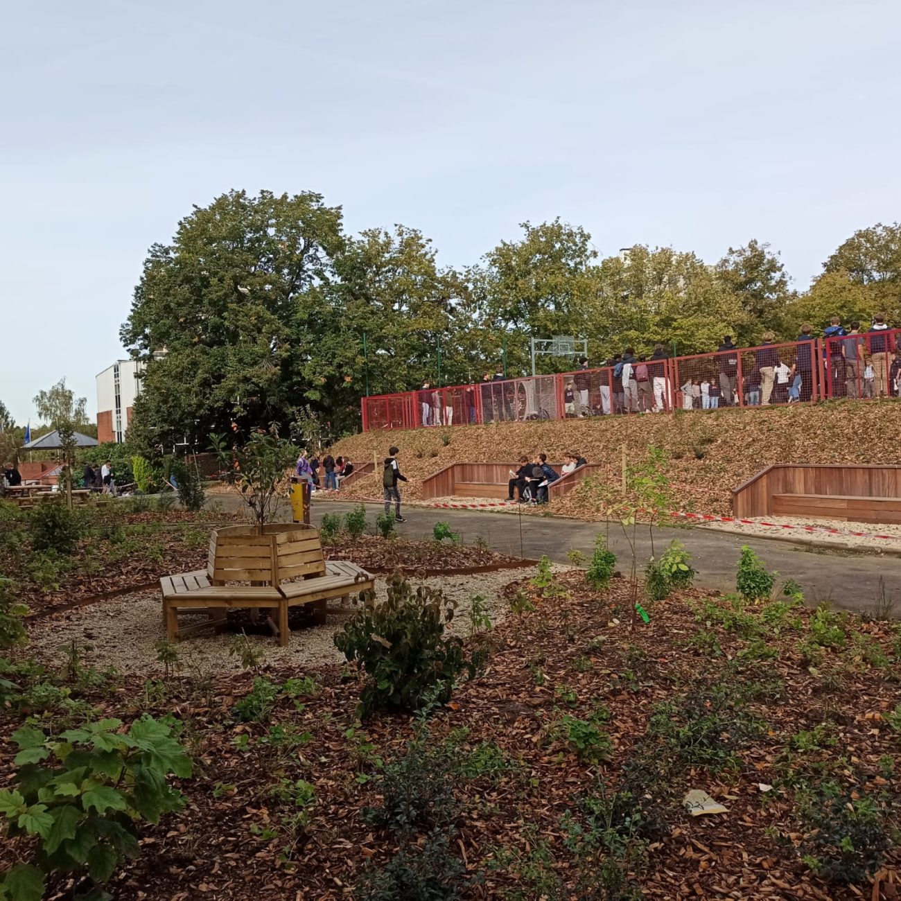 WhatsApp Image 2023-10-23 at 13.31.54 (4)