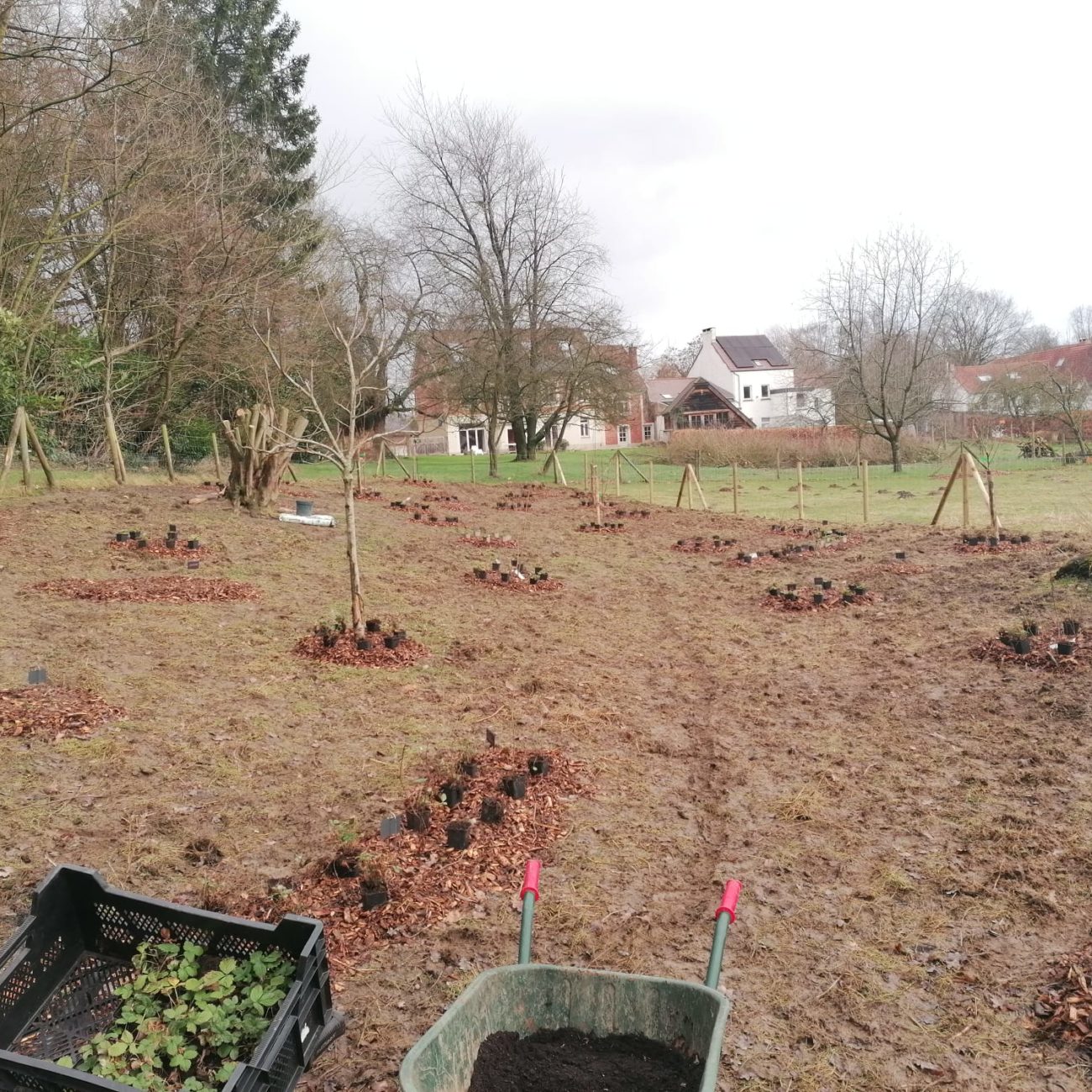 WhatsApp Image 2024-02-06 at 13.59.49