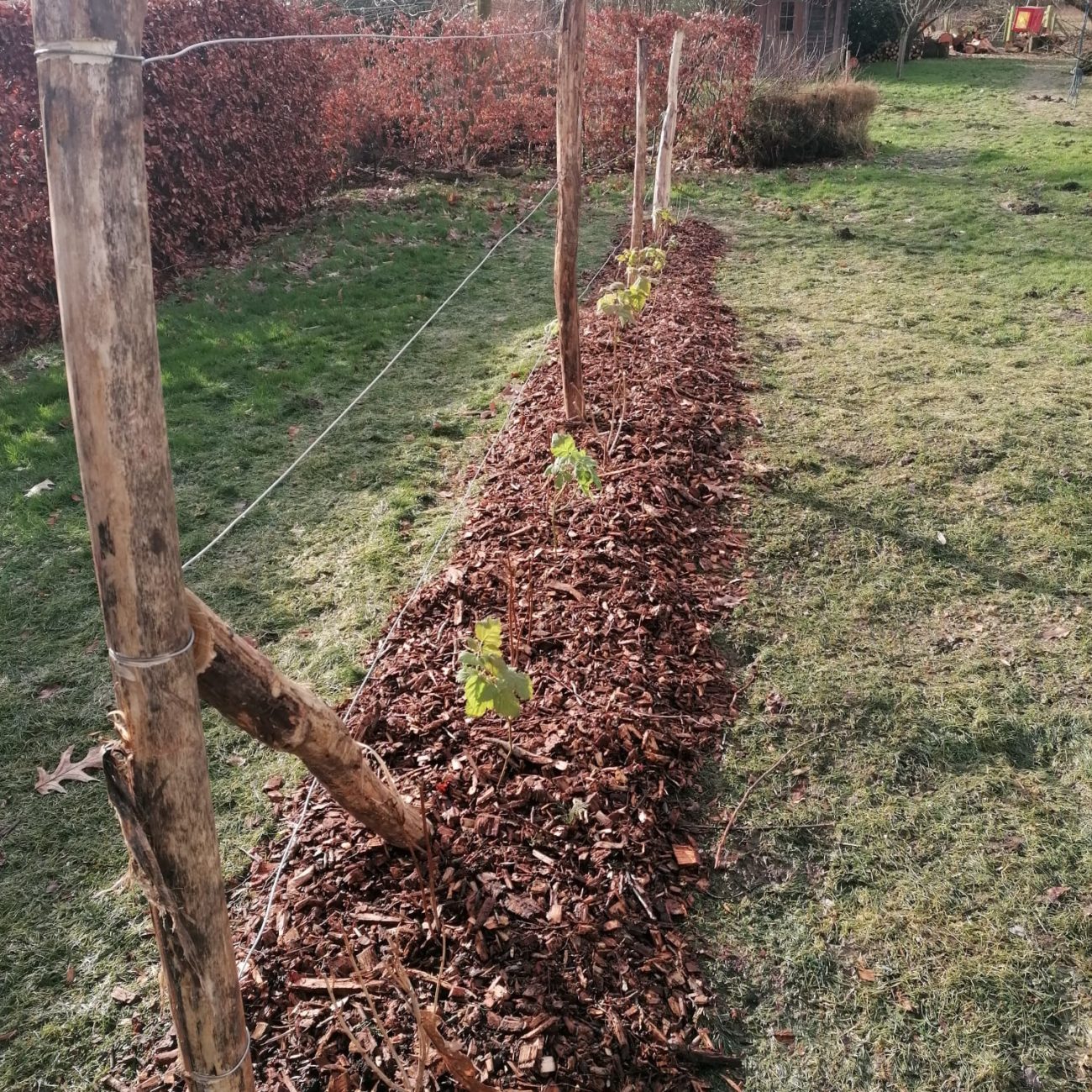 WhatsApp Image 2024-02-06 at 13.59.50 (1)