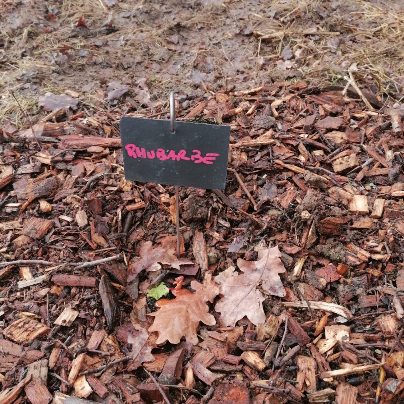 WhatsApp Image 2024-02-06 at 13.59.50