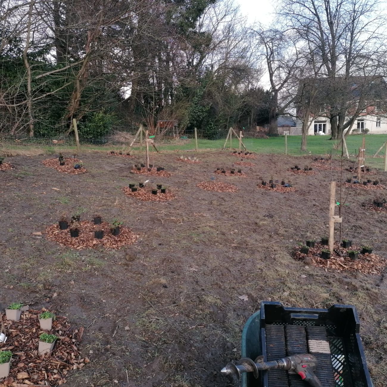 WhatsApp Image 2024-02-06 at 13.59.50 (2)