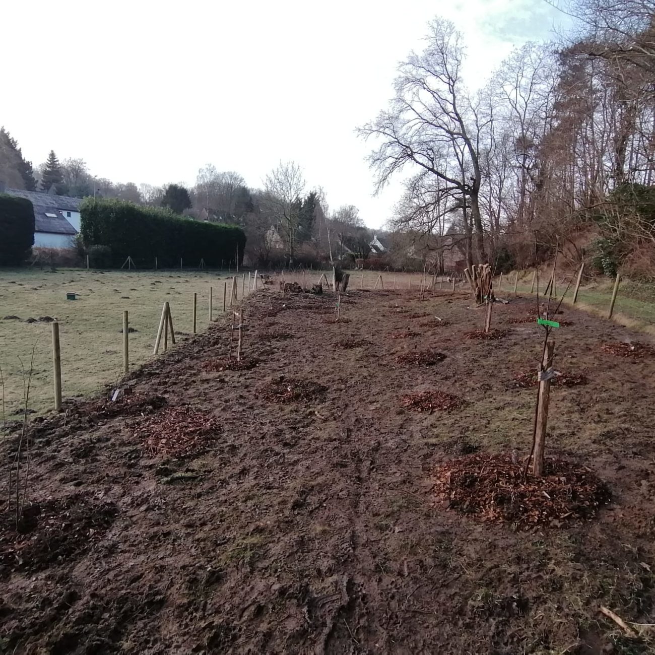 WhatsApp Image 2024-02-06 at 13.59.51 (1)