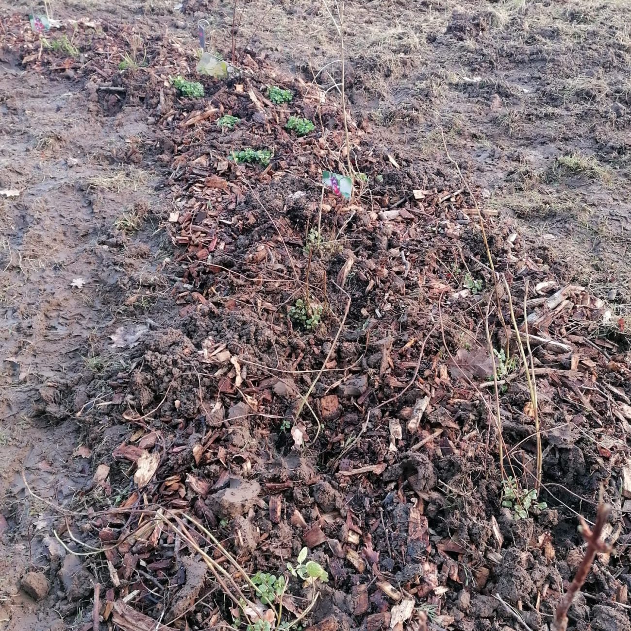 WhatsApp Image 2024-02-06 at 13.59.51