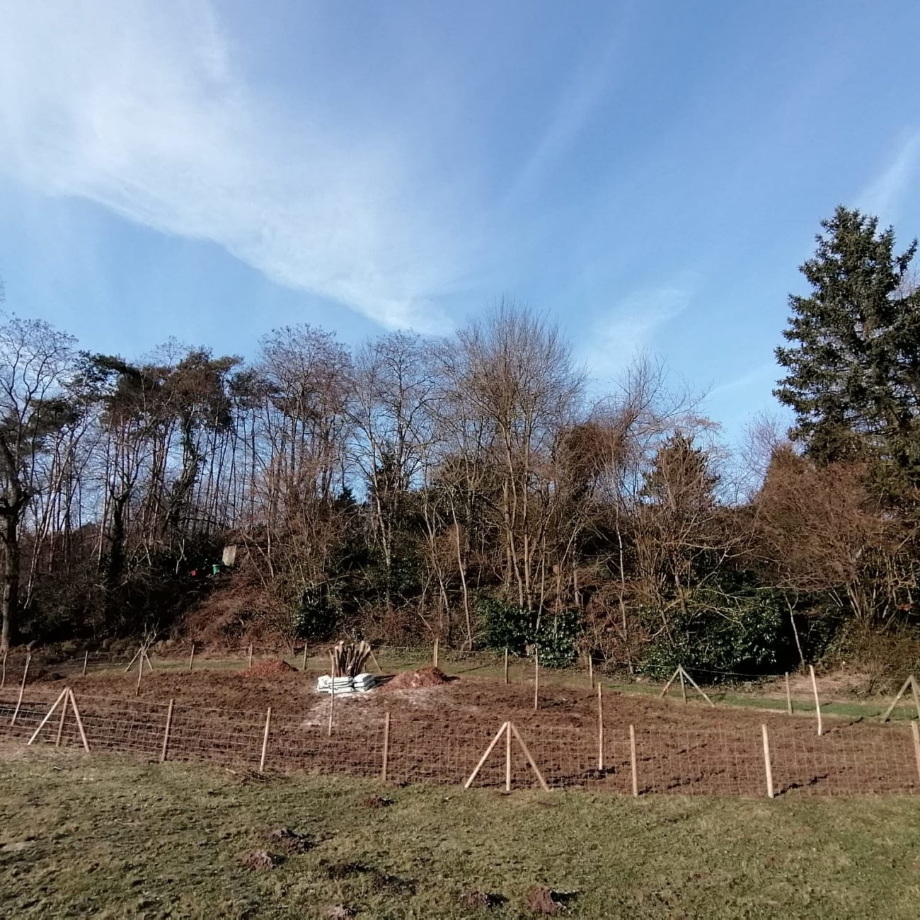 WhatsApp Image 2024-02-06 at 14.03.32 (1)