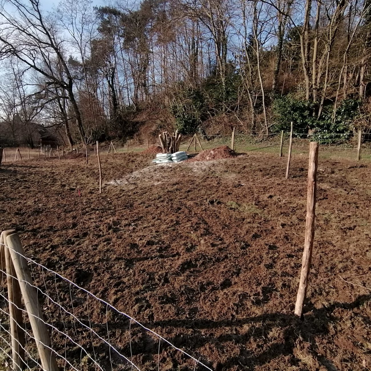 WhatsApp Image 2024-02-06 at 14.03.32