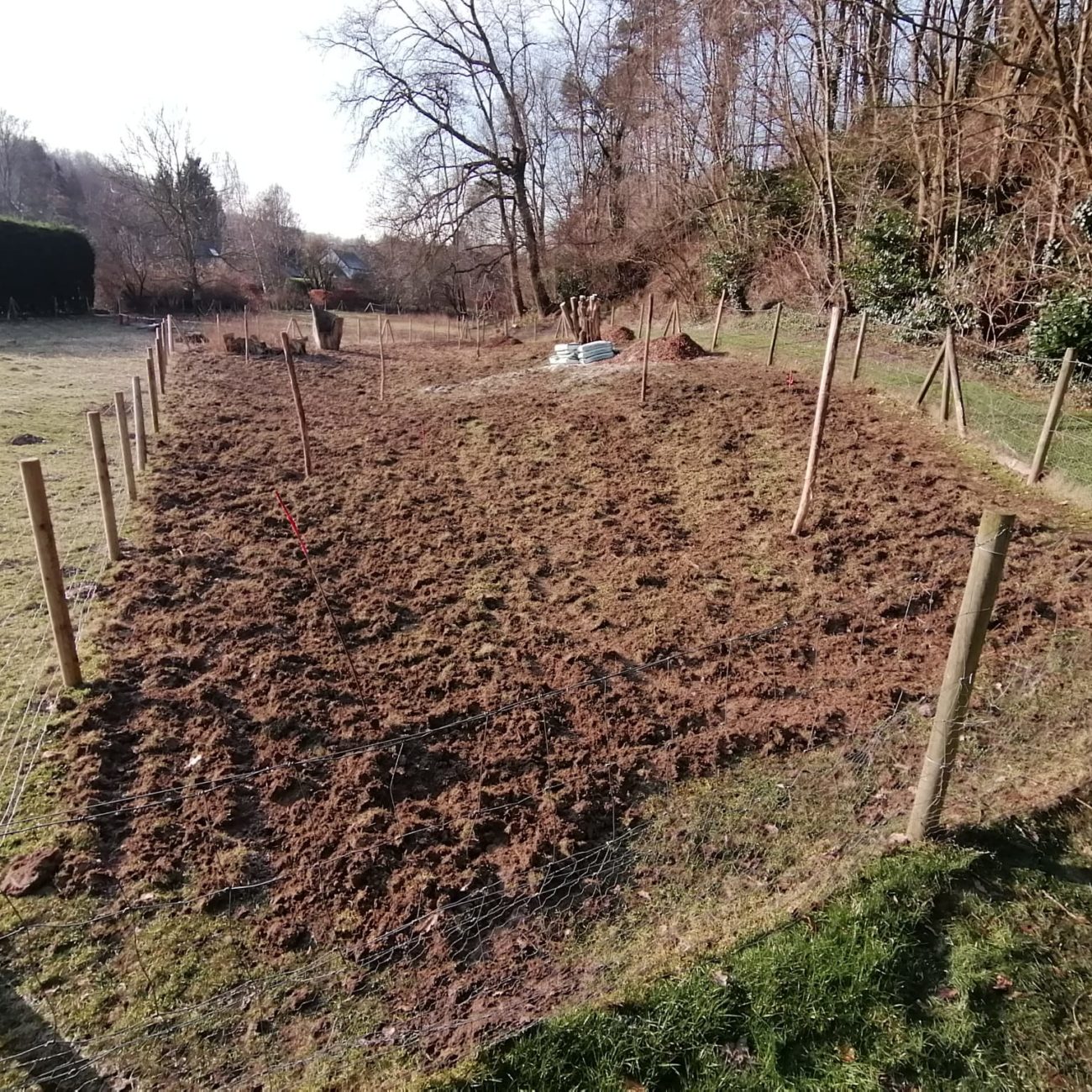 WhatsApp Image 2024-02-06 at 14.03.32 (2)